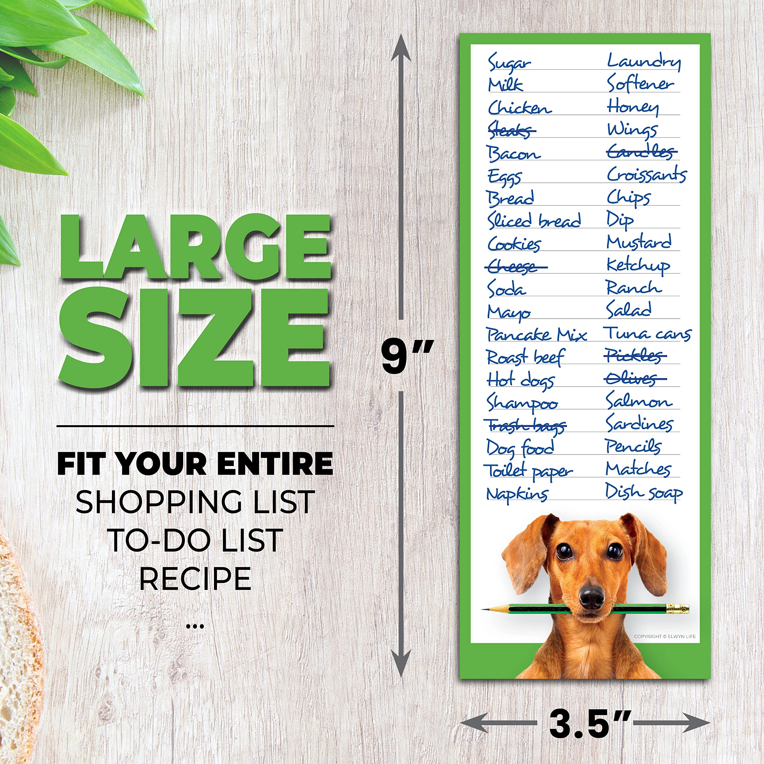Funny Dogs Refrigerator Magnetic Notepads - 3 Pack (3.5
