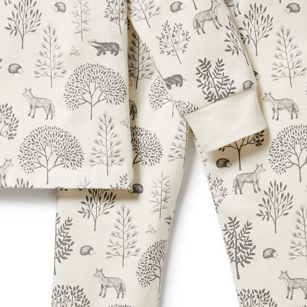 Organic Cotton Long Sleeve Pajama Set for Women - Soft & Comfortable Sleepwear - Perfect for Winter Nights, Lounging & Cozy Home Wear