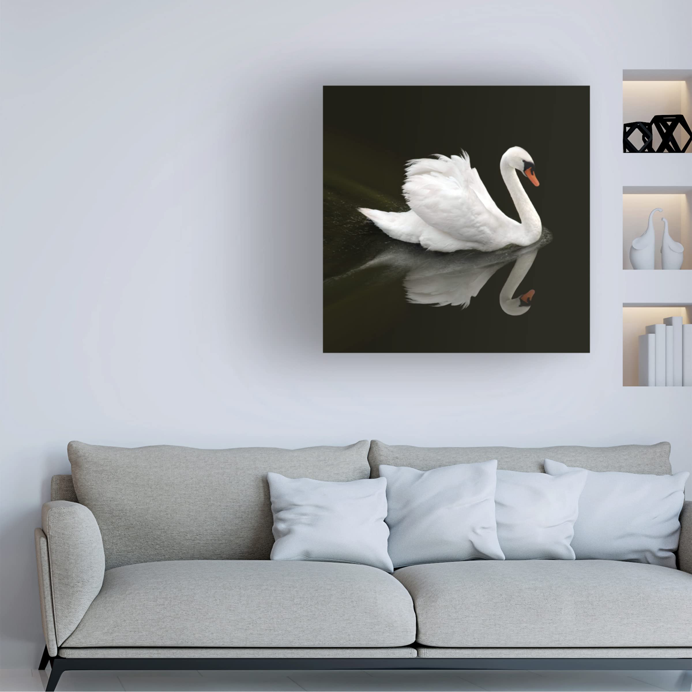 Ben Heine 'Swan 1' Canvas Wall Art Print - Modern Home Decor for Living Room, Bedroom & Office - Trademark Fine Art Collection
