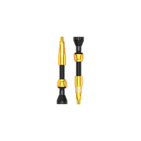 Lezyne CNC TLR Valve - High Performance Bike Tire Valve for Road & Mountain Bikes | Perfect for Tubeless & Presta Valve Systems | Cycling, Racing & Commuting Accessories