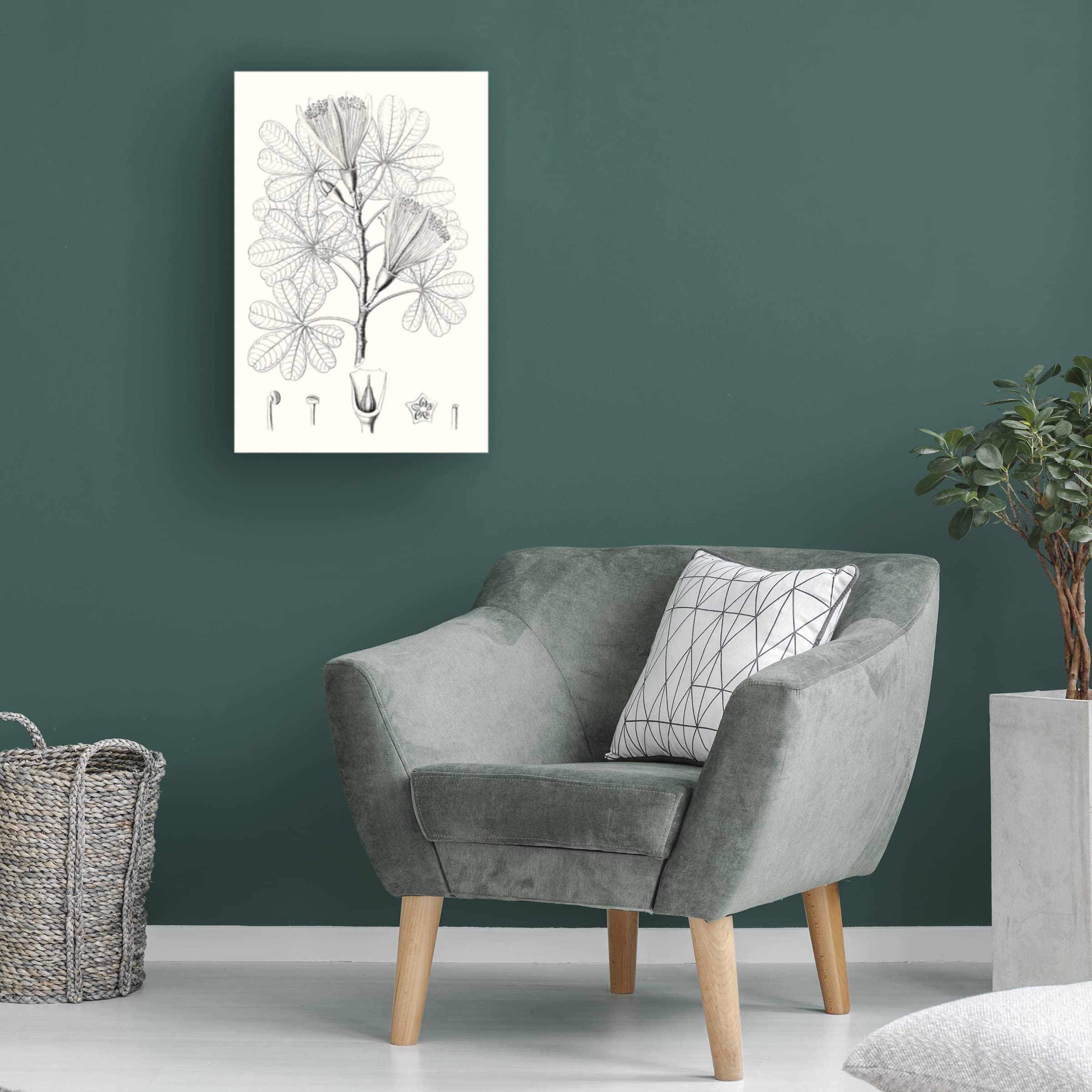Trademark Fine Art 'Illustrative Leaves II' Canvas Wall Art Print by Vision Studio - Perfect for Living Room, Bedroom & Office Decor