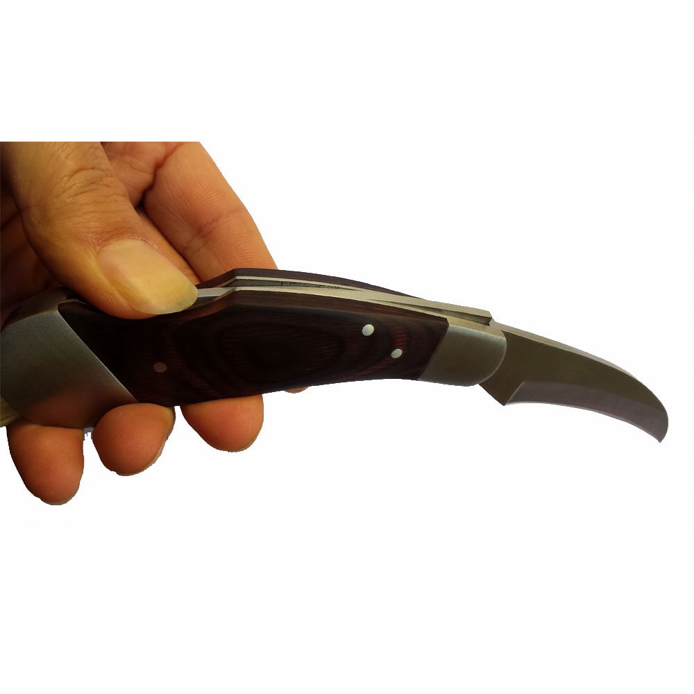 Premium Folding Mushroom Knife for Truffle Hunting - Stainless Steel Blade with Sheath - Ideal for Outdoor Foraging, Camping & Hiking Accessories