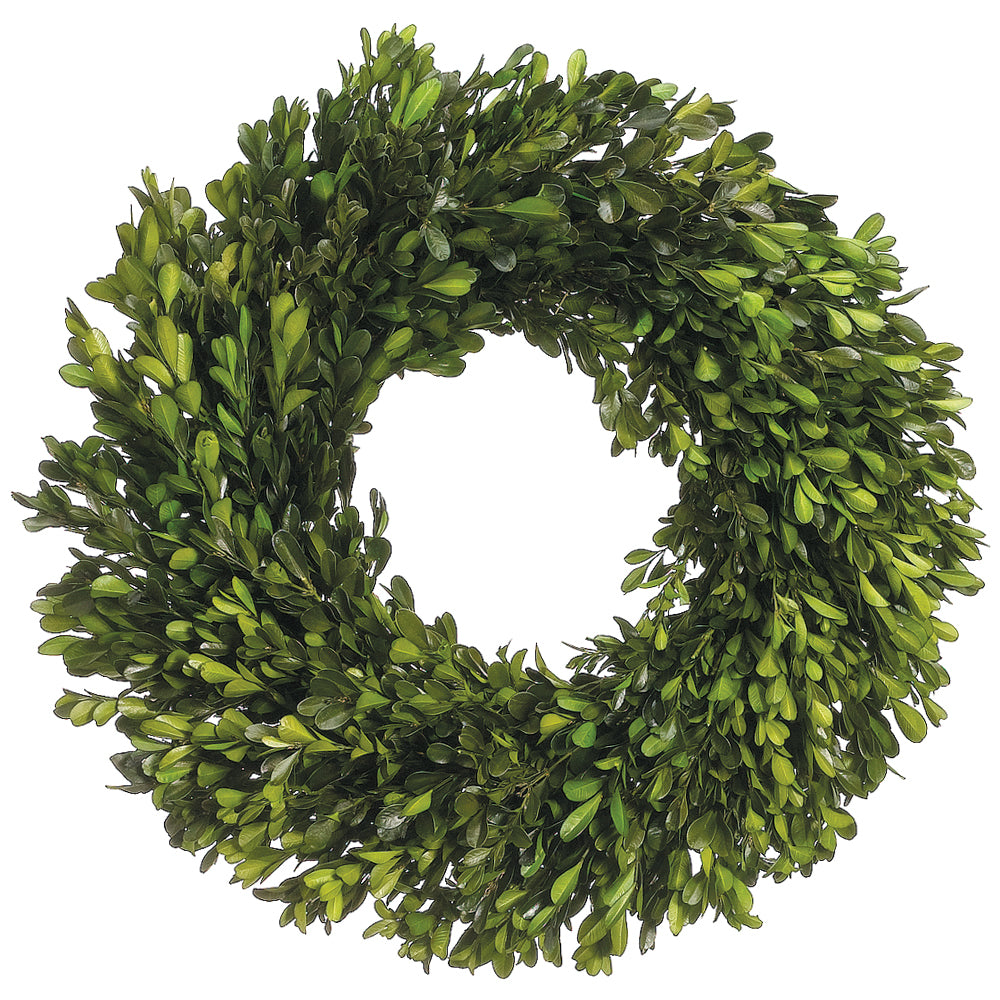 17 Inch Preserved Boxwood Hanging Wreath - Set of 2, Green Artificial Wreaths for Year-Round Home Decor - Perfect for Front Door, Wall, Window & Seasonal Displays