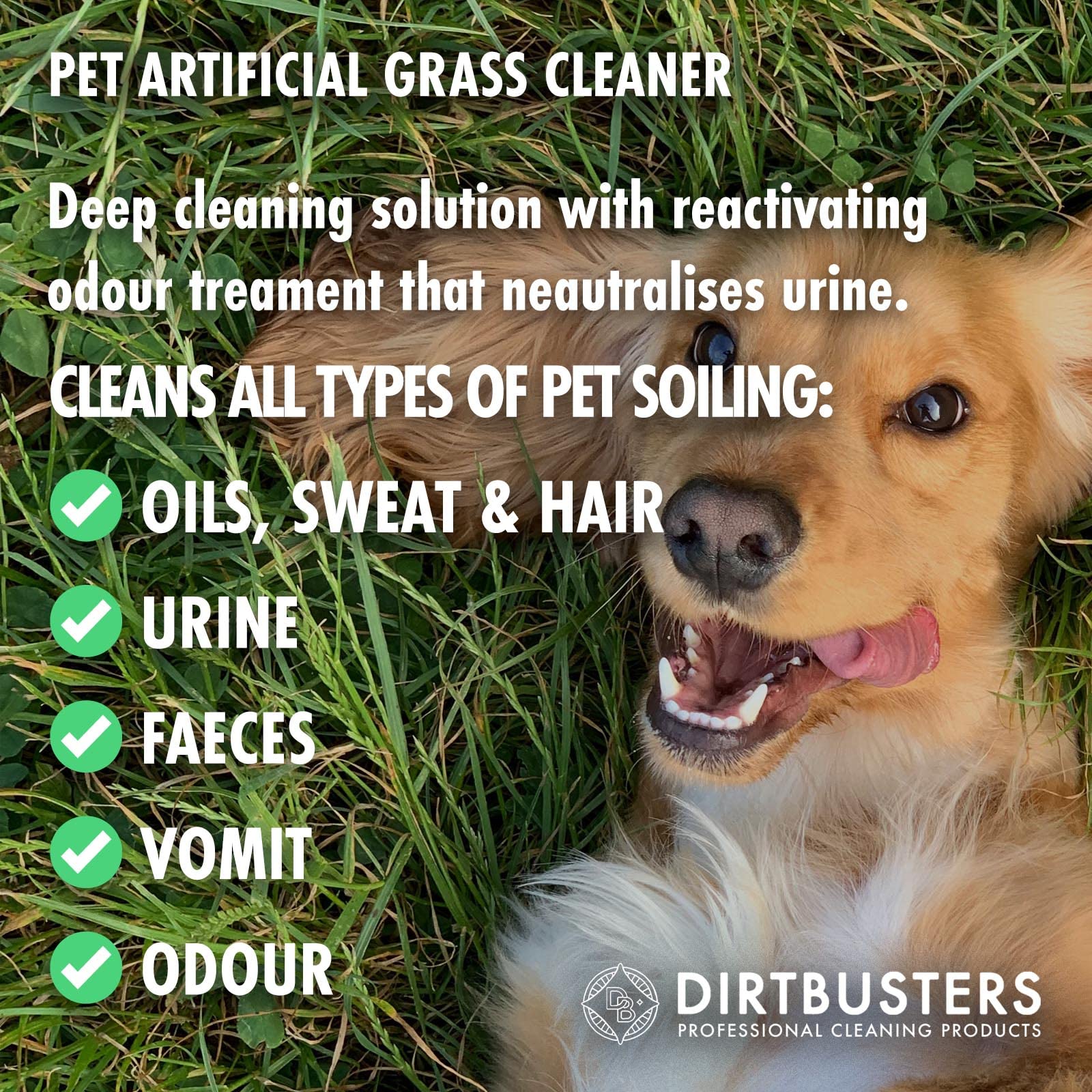 Dirtbusters Pet Artificial Grass Cleaner - Odor & Urine Eliminator for Dogs & Cats | Removes Stains & Deodorizes (5L) | Perfect for Backyards, Patios & Pet Play Areas
