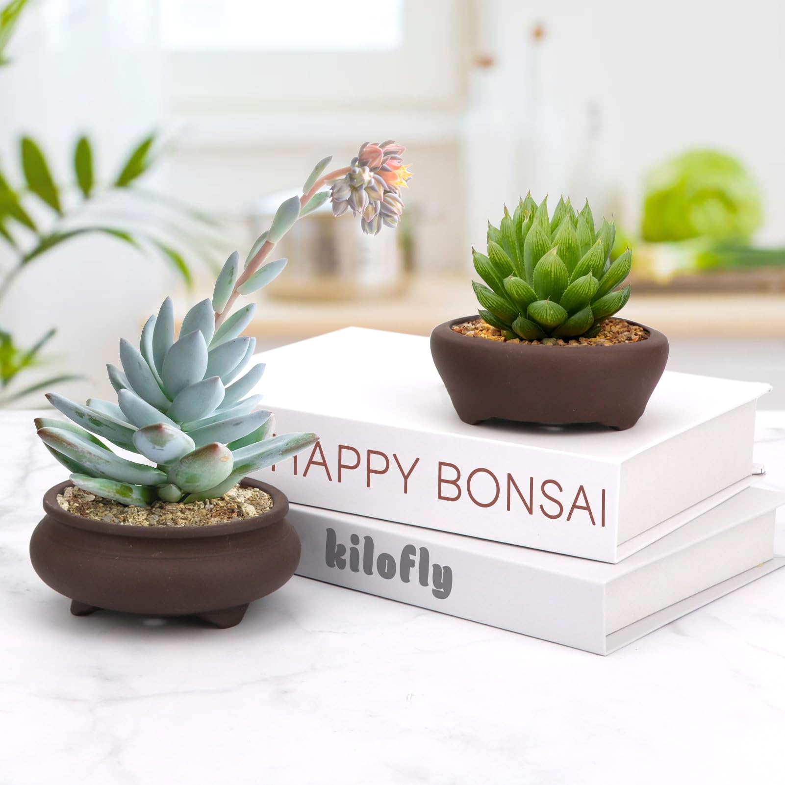 2-Piece Unglazed Round Ceramic Bonsai Planter Set - 3.7