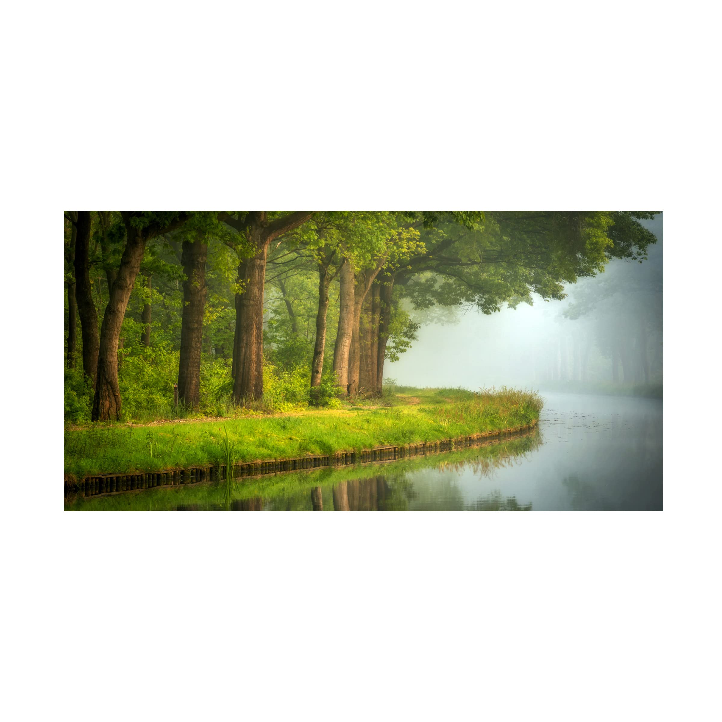 Trademark Fine Art 'Spring' Canvas Wall Art by Sus Bogaerts - Floral Landscape Painting for Living Room, Bedroom & Office Decor