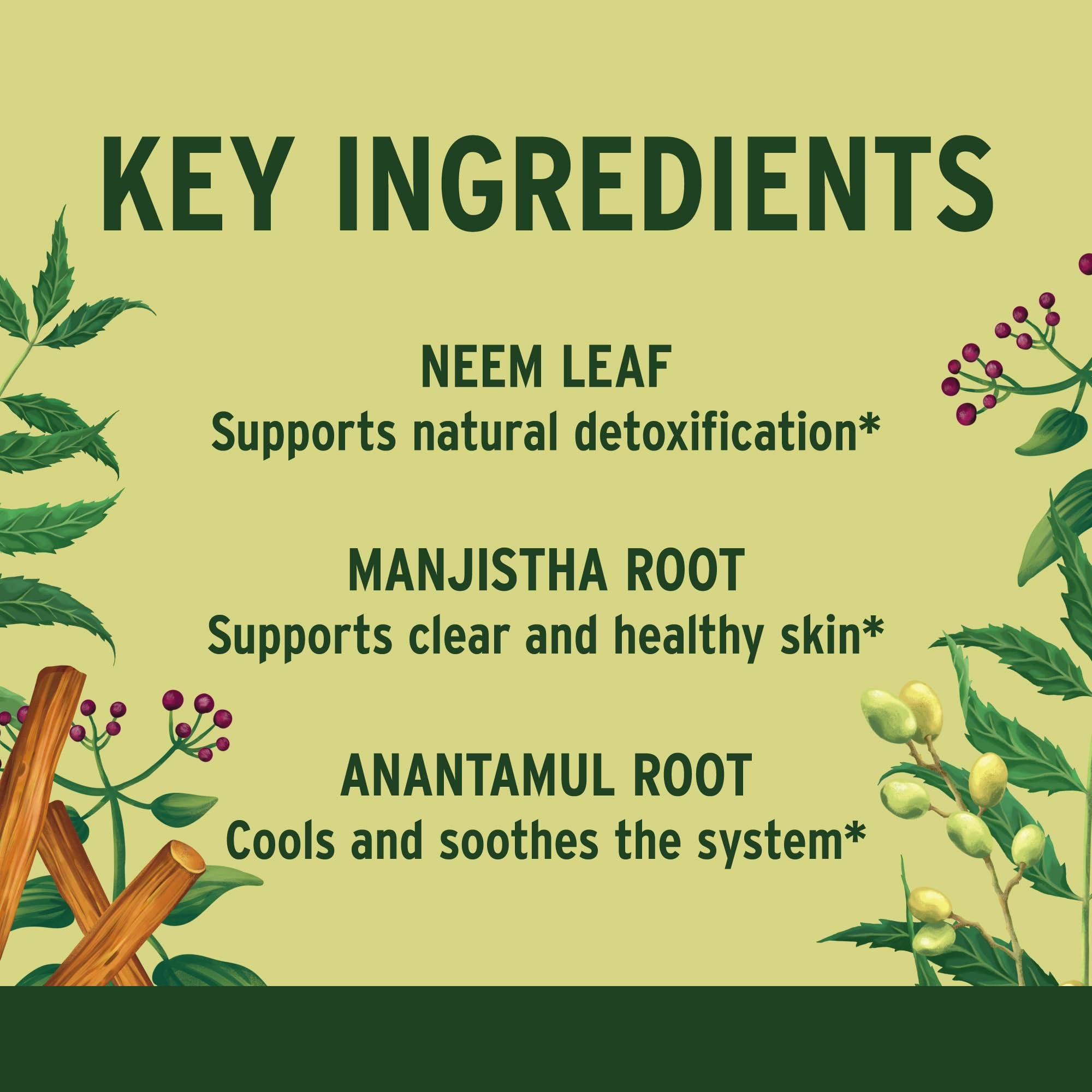 Banyan Botanicals Healthy Skin Supplement – Organic, Non-GMO, Vegan Skin Support Tablets for Radiant Complexion – 90 Count – Sustainably Sourced – Perfect for Daily Wellness & Glowing Skin Care Routine