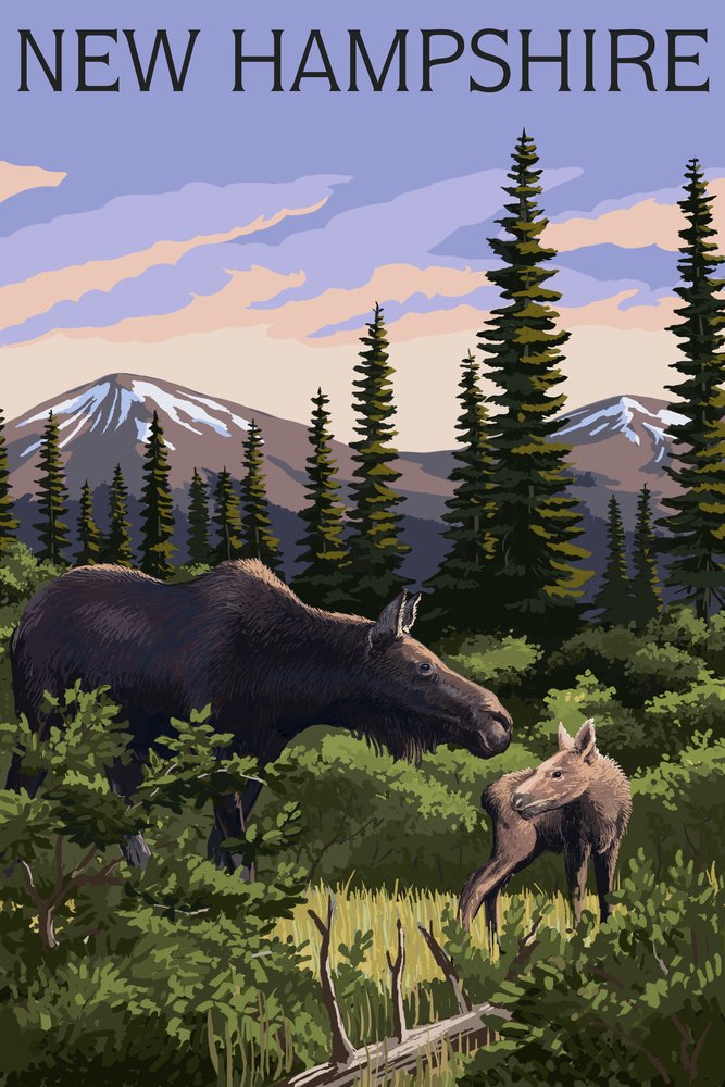 Lantern Press New Hampshire Moose and Calf Wall Art - 16x24 Wrapped Canvas for Living Room, Bedroom & Office Decor - Nature Wildlife Painting for Home & Cabin