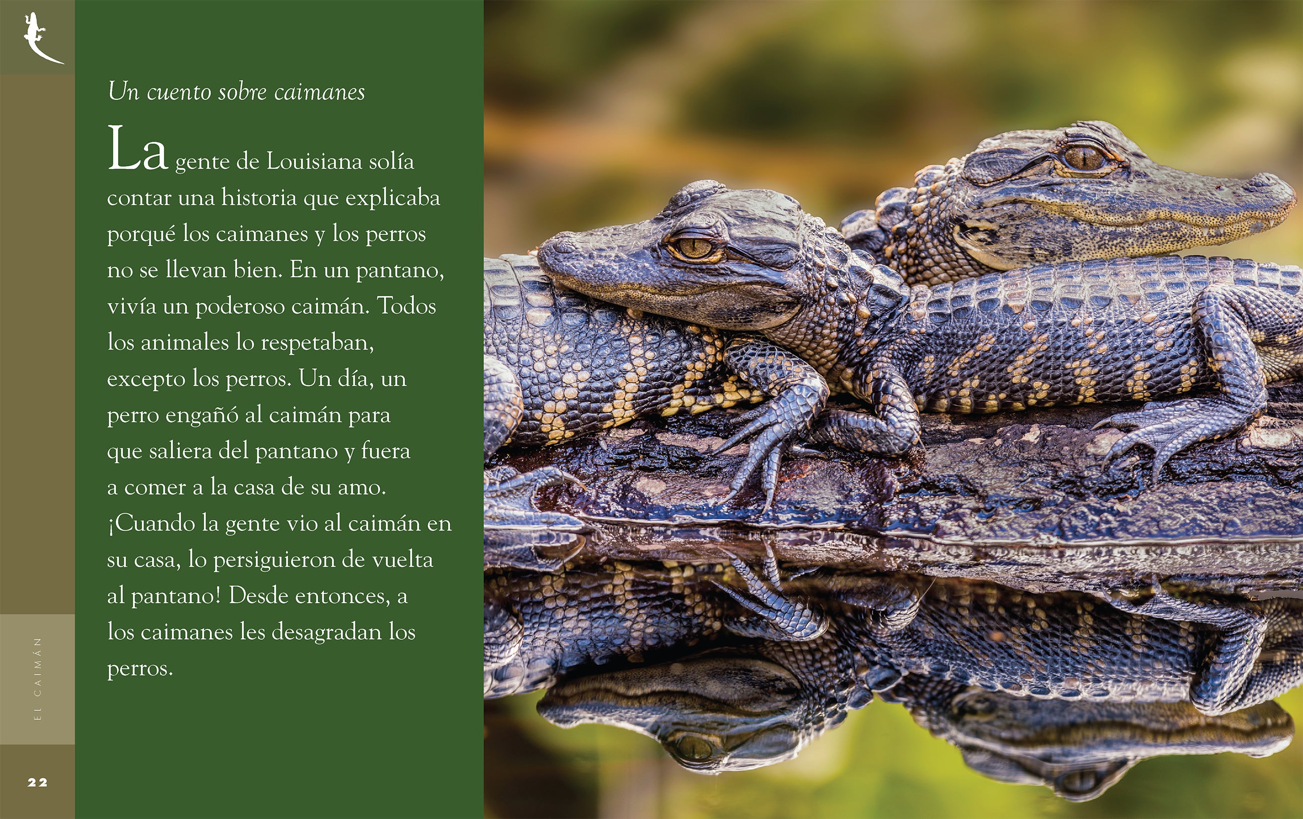 El Caiman Book by 9781640264625 - Perfect for Reading, Gifts & Book Clubs | Adventure & Wildlife Novel