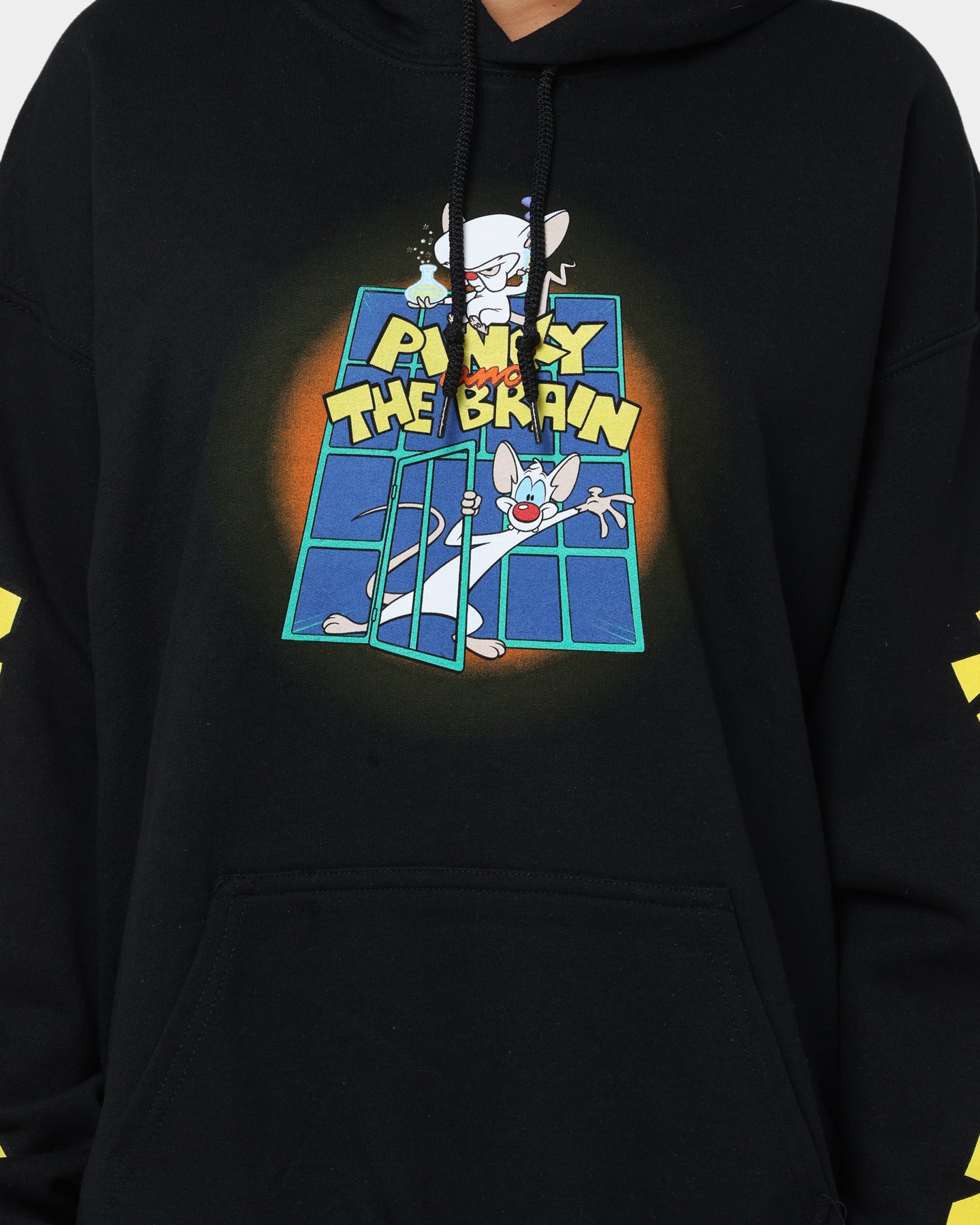 Pinky and The Brain Vintage Hoodie - Black Wash Retro Cartoon Sweatshirt for Men & Women | Perfect for Casual Wear, Cosplay, and 90s Nostalgia Fans