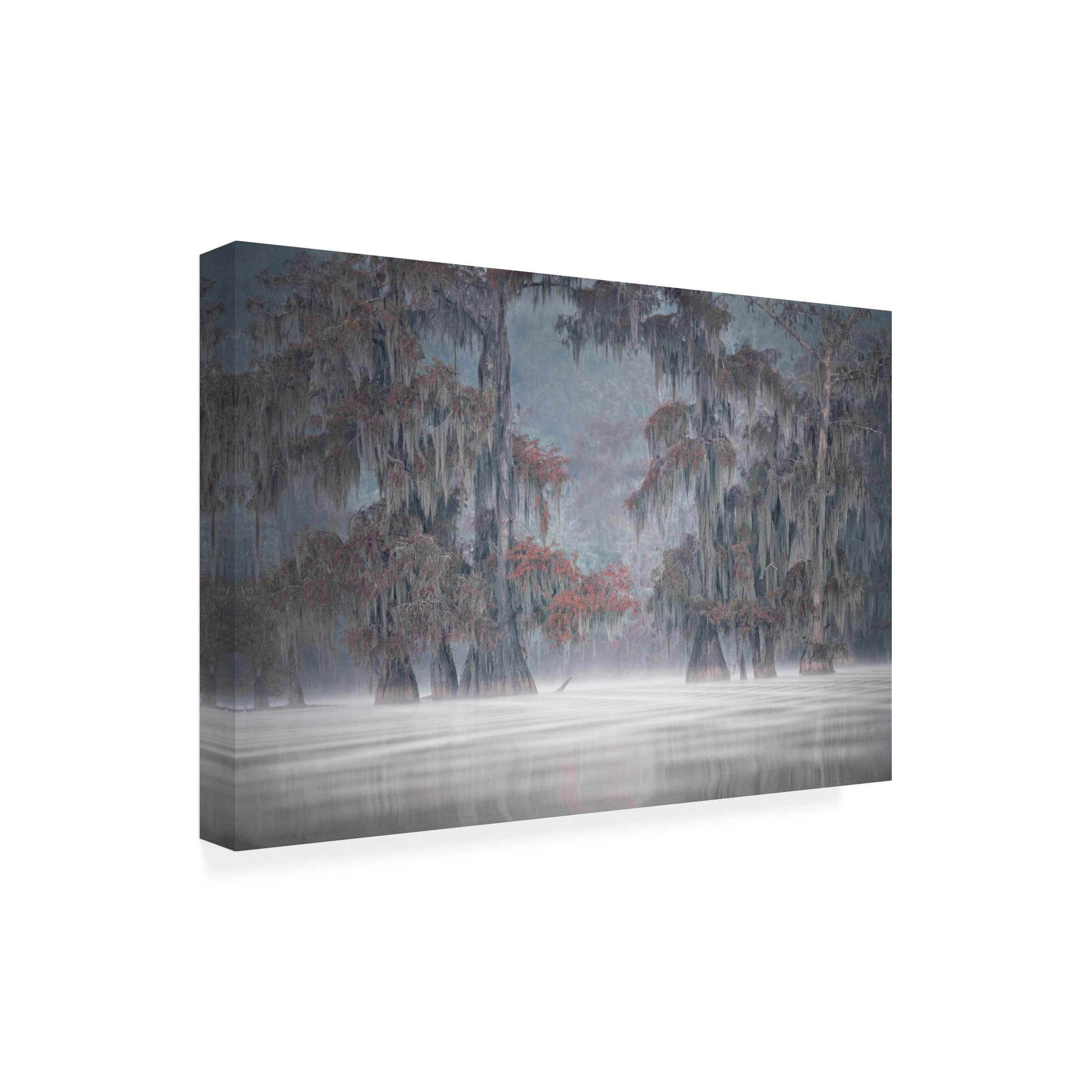 Roberto Marchegiani Misty Bayou 1 Canvas Art Print - Handmade Landscape Painting for Living Room, Bedroom & Office Decor - Premium Trademark Fine Art Collection
