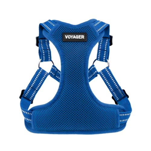 Harness (Royal Blue)