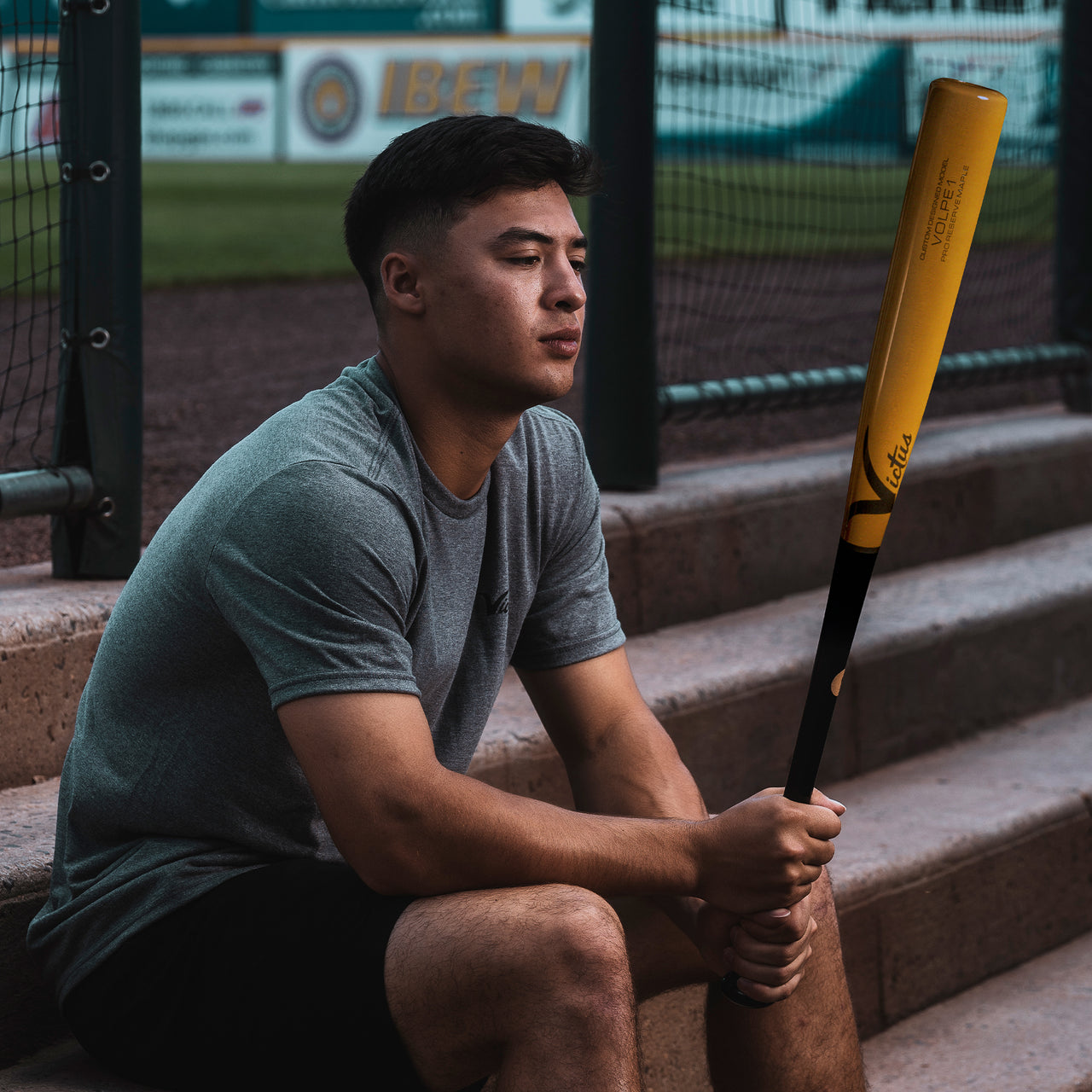 Victus Anthony Volpe VOLPE1 Pro Reserve Maple Wood Baseball Bat - VRWMVOLPE1 GB/GW | Premium Maple Wood Bat for Baseball Players | Perfect for Training, Games & Collectors