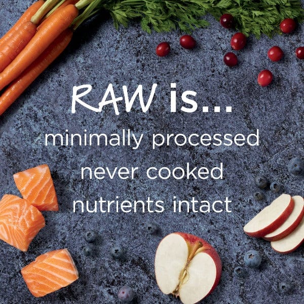 Instinct Raw Boost Grain Free Dry Cat Food with Real Salmon - High Protein, Natural Ingredients for Adult Cats, 4.5 lb Bag - Perfect for Indoor Cats & Weight Management