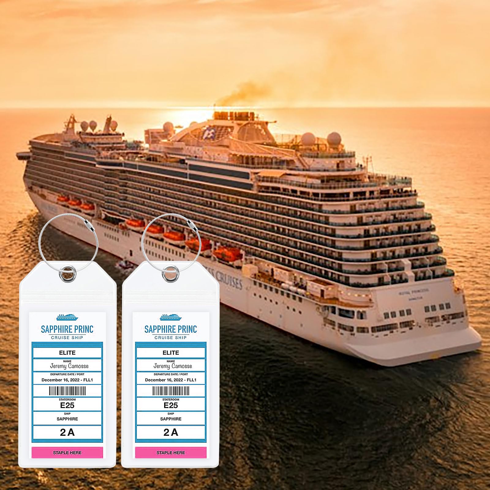 10 Pack Cruise Luggage Tag Holders - Waterproof Clear ID Tag for Holland America, Carnival, NCL, Princess & MSC Cruises - Durable Steel Loop Travel Essentials for Cruise Vacations & Ocean Getaways