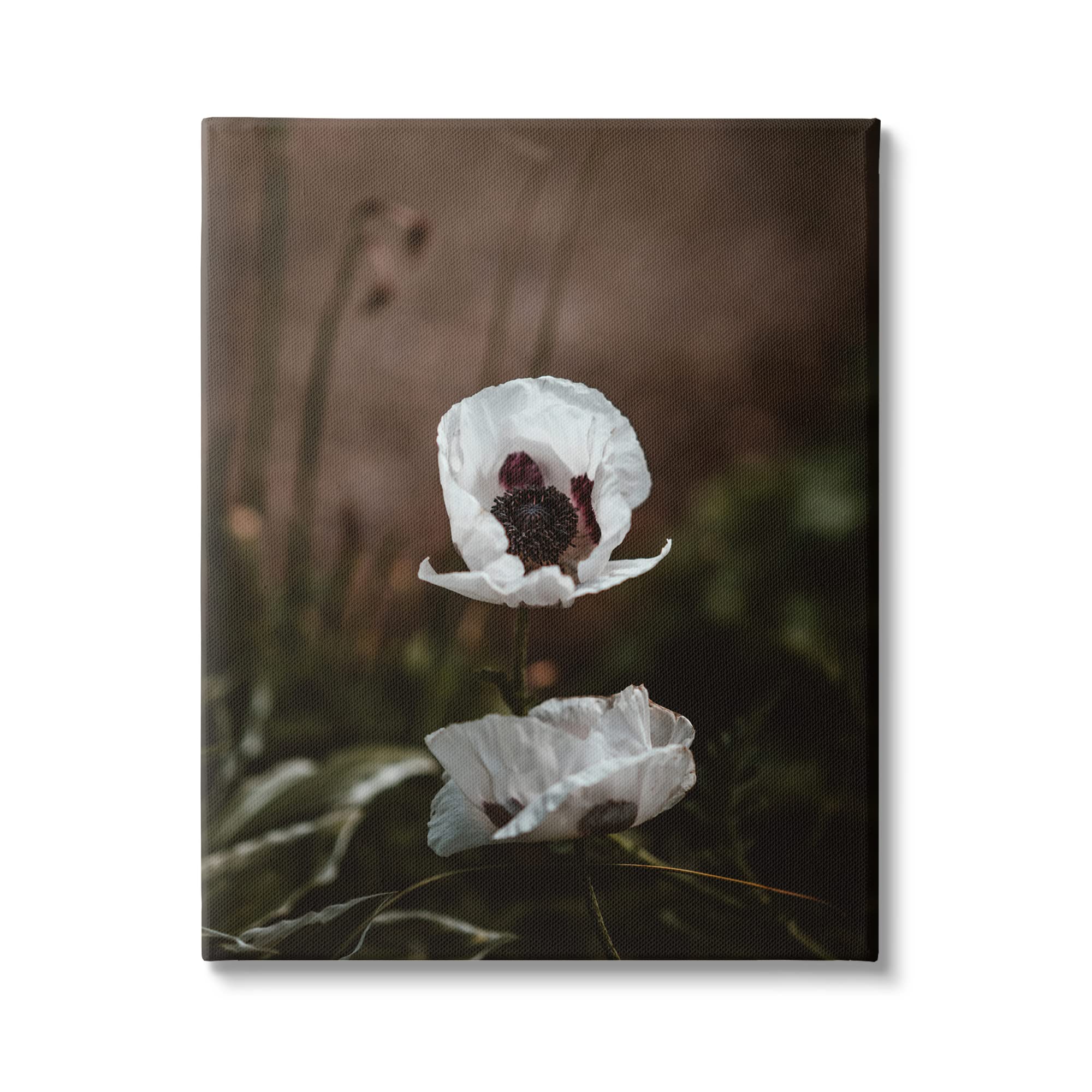 Stupell Industries Lonely White Flower Blossom Forest Photography Wall Art - Nature-Inspired Home Decor for Living Room, Bedroom & Office