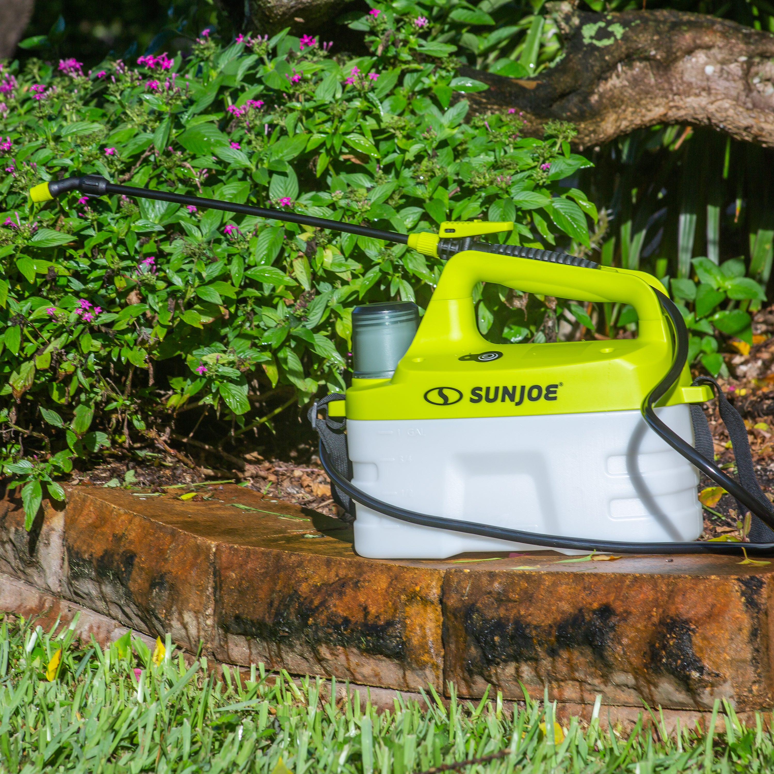 Sun Joe SJ APS 1G 4V Cordless All-Purpose Chemical Sprayer - 1 Gallon Capacity for Lawn Care, Gardening & Pest Control | Lightweight & Portable for Home & Outdoor Use