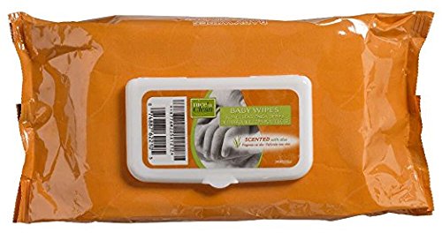 PDI Baby Wipes Nice 'N Clean Scented Refillable Tub - 720 Count (12 Packs) | Gentle for Newborns & Sensitive Skin | Perfect for Diaper Changes, On-the-Go Cleaning & Baby Care Essentials
