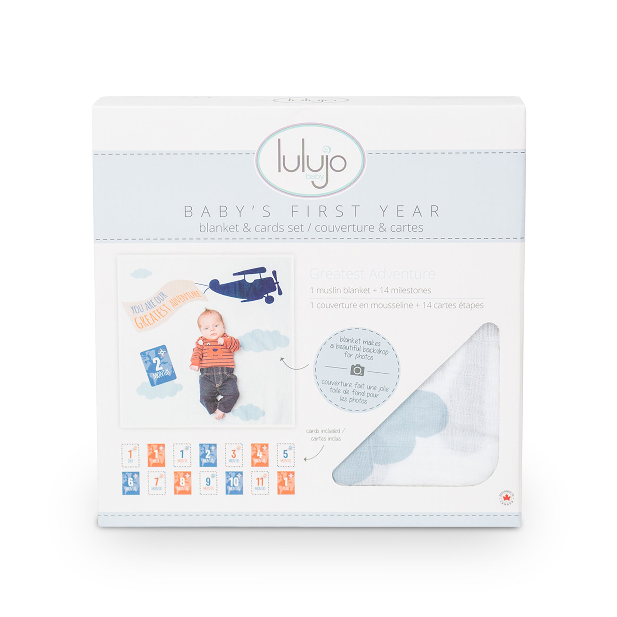 Lulujo Baby's First Year Keepsake Blanket & Milestone Cards Set - Perfect for Newborn Photo Shoots, Monthly Milestone Pictures, and First Birthday Celebrations