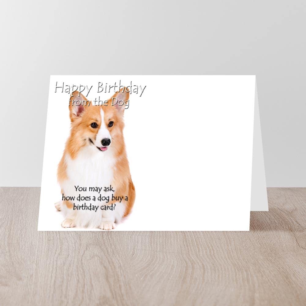 Funny Corgi Birthday Card - Folded Greeting Card with Matte Finish | Perfect for Dog Lovers & Corgi Owners Birthday Wishes