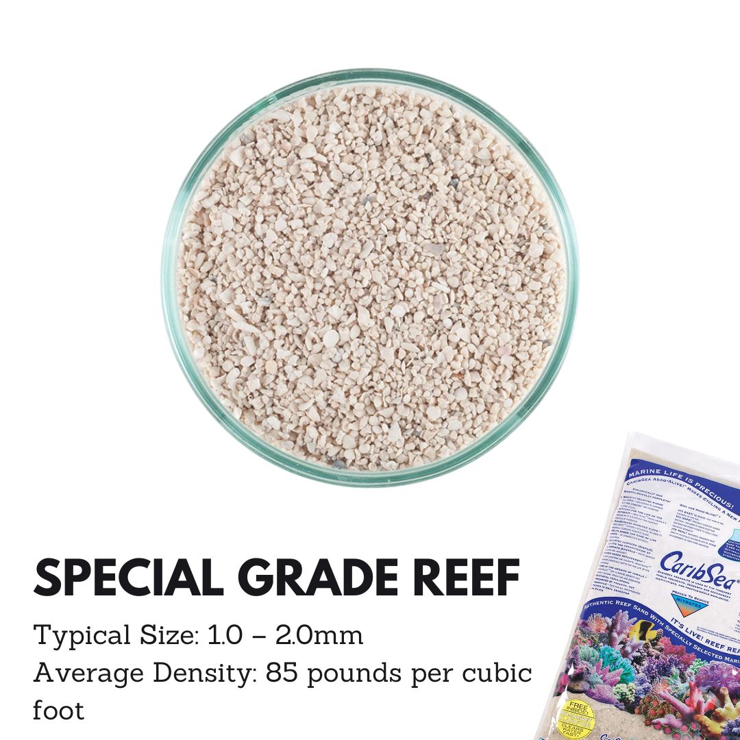 Premium Caribsea Aragalive Special Grade Reef Sand - Natural Marine Substrate for Saltwater Aquariums (10/20 lbs) | Ideal for Coral Growth, Fish Tanks & Reef Ecosystems