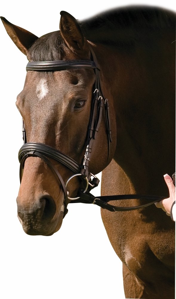 Henri de Rivel Padded Raised Dressage Bridle with Crank Noseband - Premium Equestrian Horse Riding Gear for Dressage Training & Competition