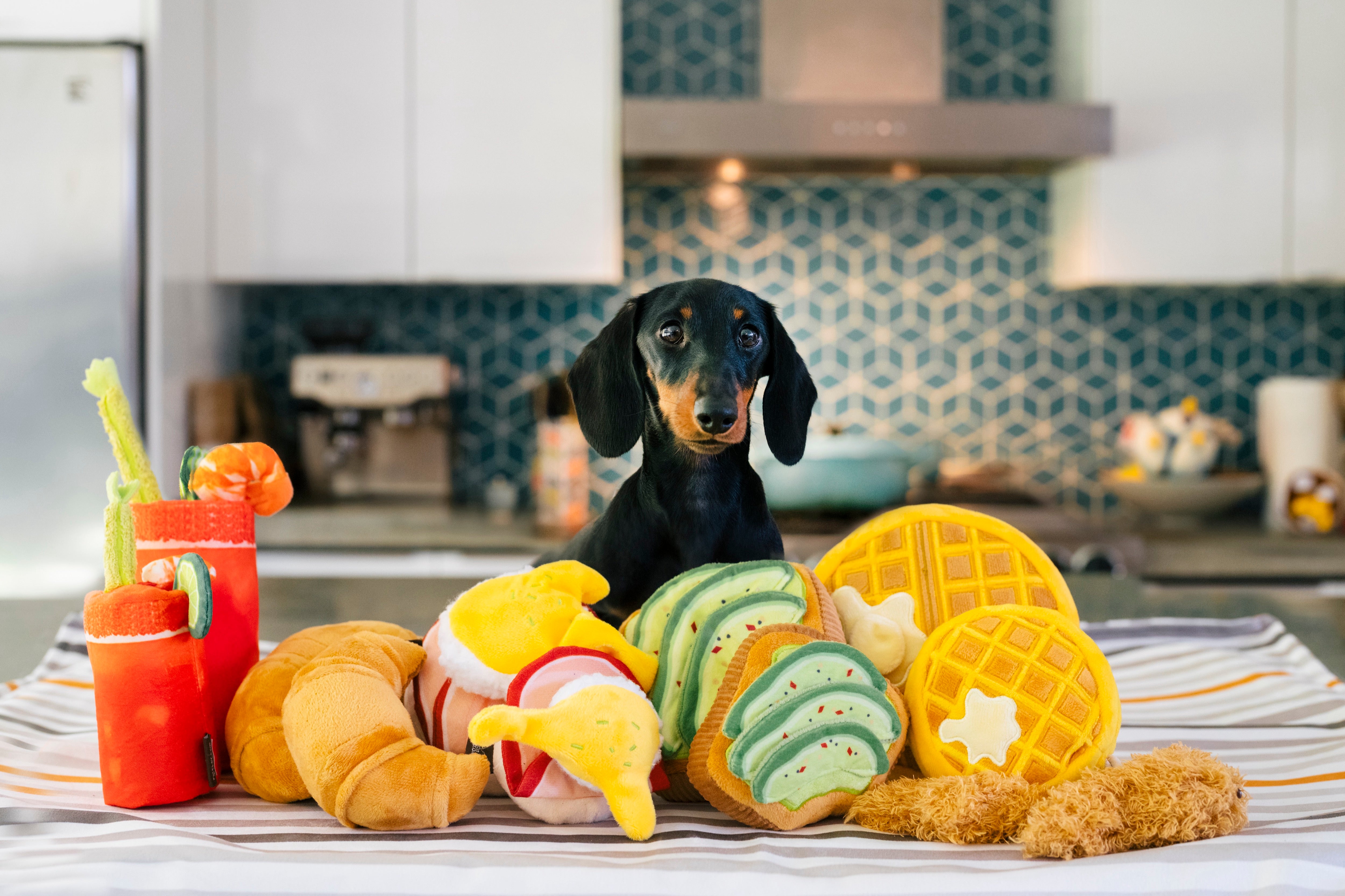 El Egg Benedict Plush Dog Toy - Barking Brunch™ Collection by Pet P.L.A.Y. | Soft & Durable Chew Toy for Small & Medium Dogs | Perfect for Playtime, Training & Cuddling
