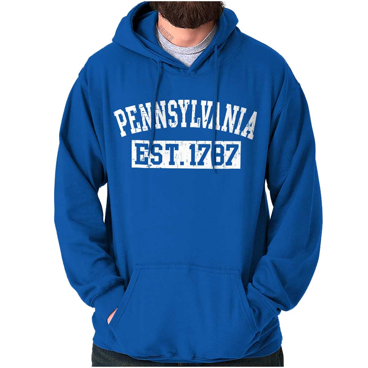 Vintage Distressed Hoodie Sweatshirt for Women & Men - Pennsylvania Established Collection | Perfect for Casual Wear, Street Style & Cozy Loungewear