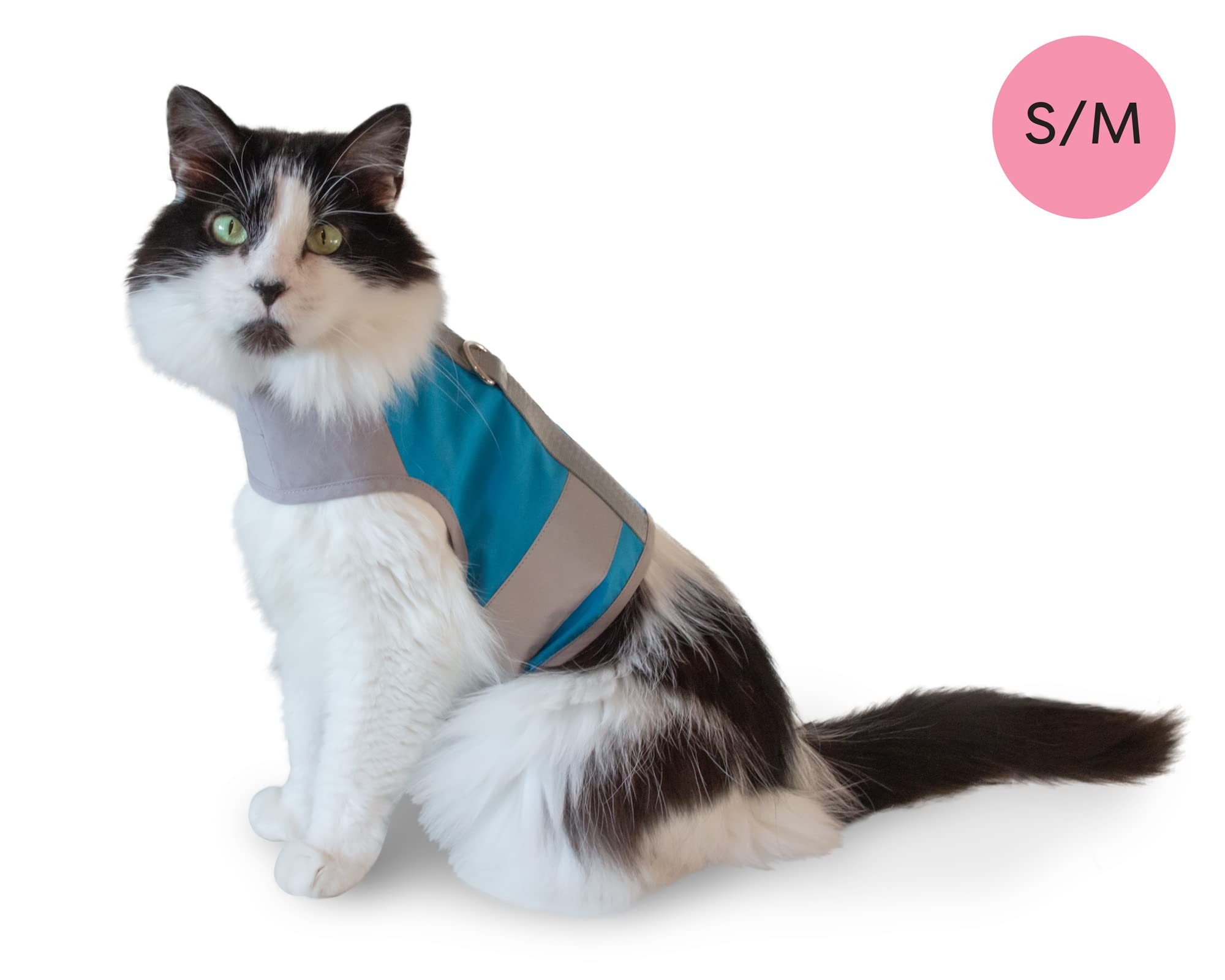 CAT SCHOOL Soft & Comfortable Cat Harness and Leash Set for Outdoor Walks, Training, Travel - Secure Adjustable Cat Vest with 10' Long Leash - Easy Step-by-Step Instructions (M/L) - Perfect for Park Adventures, Vet Visits & Safe Exploration