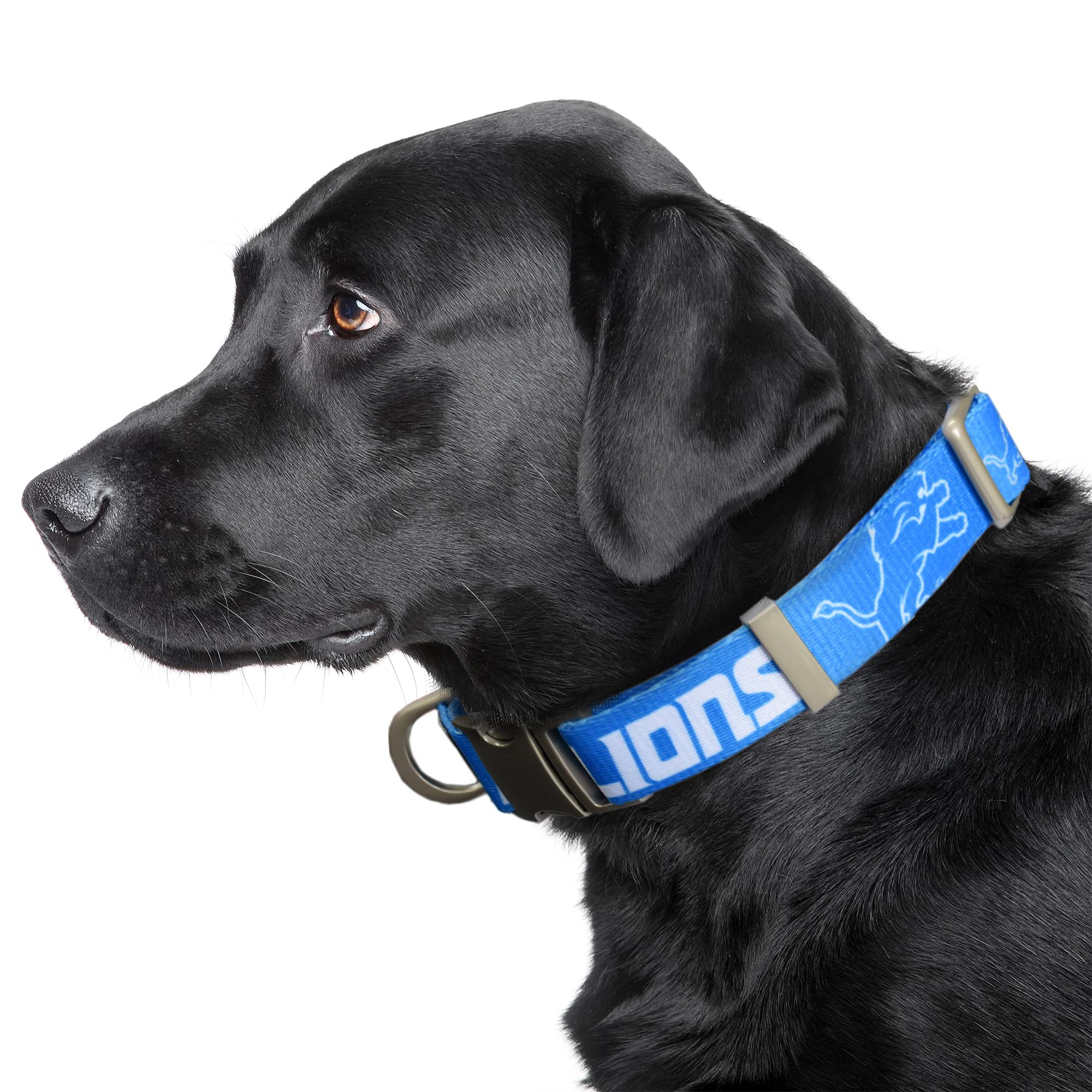 Littlearth NFL Unisex-Adult Premium Metal Pet Collar - Durable All-Metal Design for Dogs & Cats - Perfect for Game Day & Outdoor Adventures