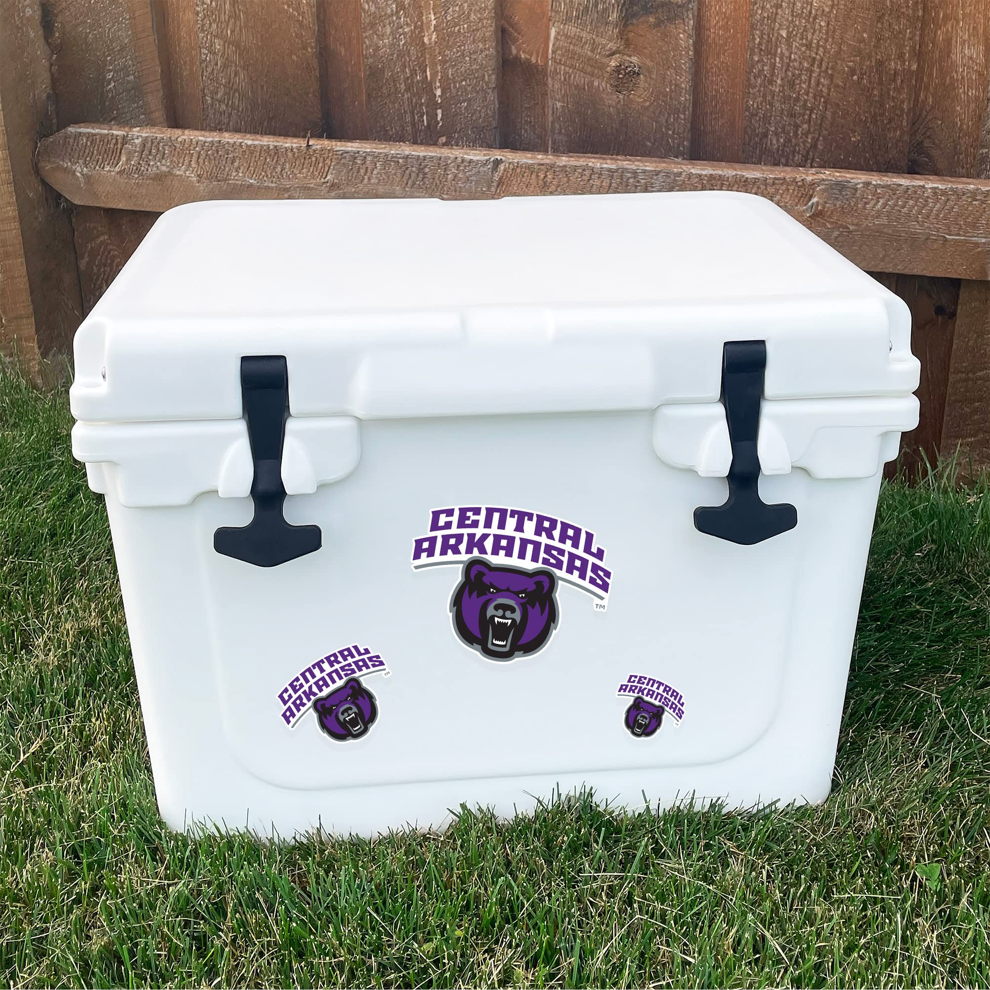 UCA Bears Vinyl Decals - Desert Cactus University of Central Arkansas Stickers for Laptop, Water Bottle, Car & Scrapbook - Durable T3 (Type 3-1) Decals for School Spirit & Fan Gifts