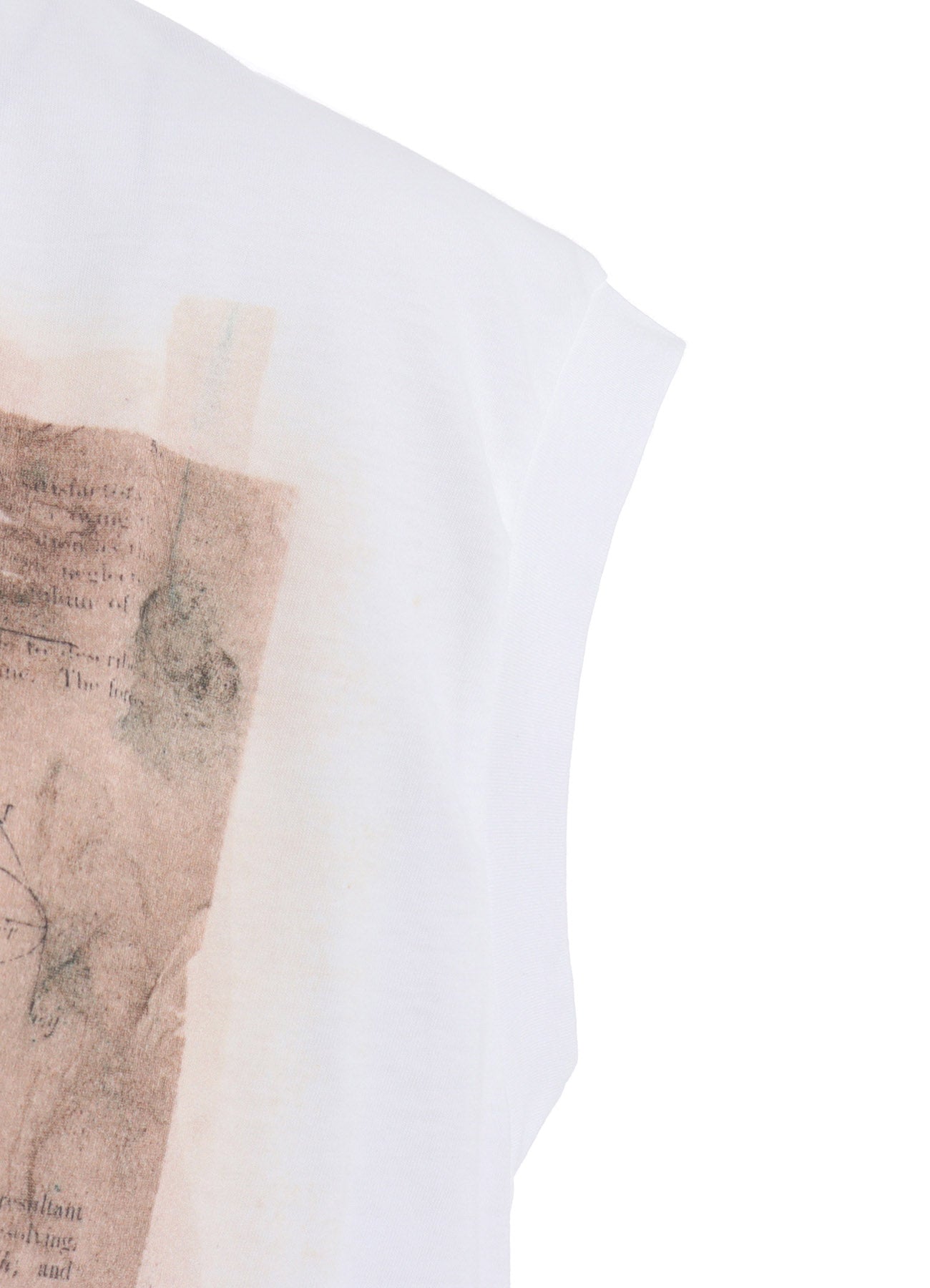 Stylish Cotton Jersey Bird Print French Sleeve Shirt for Women - Casual Summer Tops for Outdoors, Travel & Everyday Wear