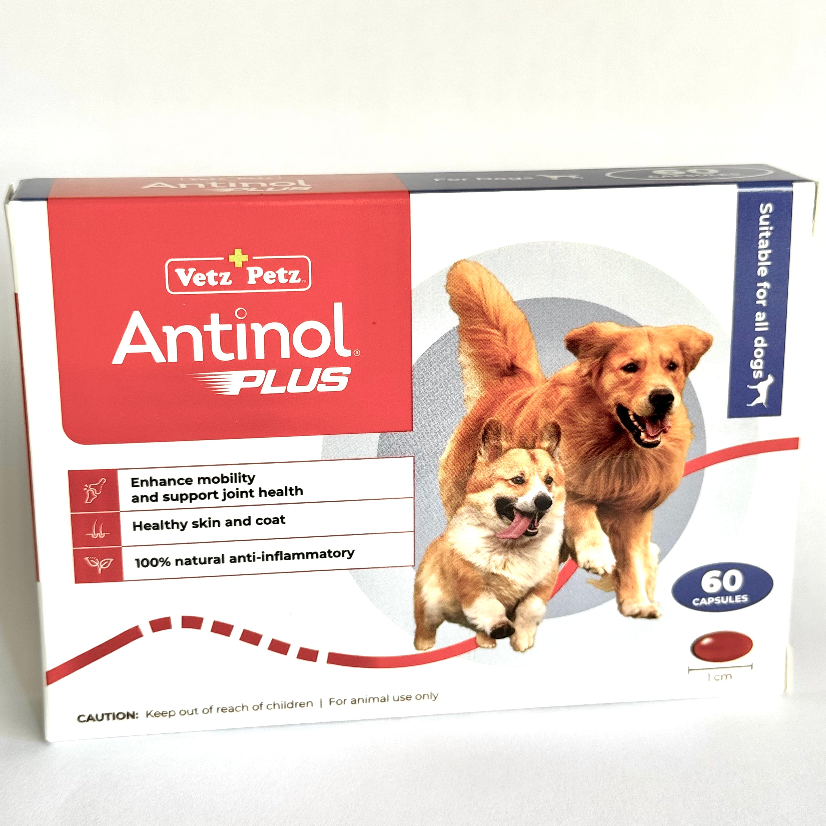 Antinol Plus for Dogs - Joint Support Supplement for Canine Arthritis & Mobility - Ideal for Senior Dogs & Active Breeds