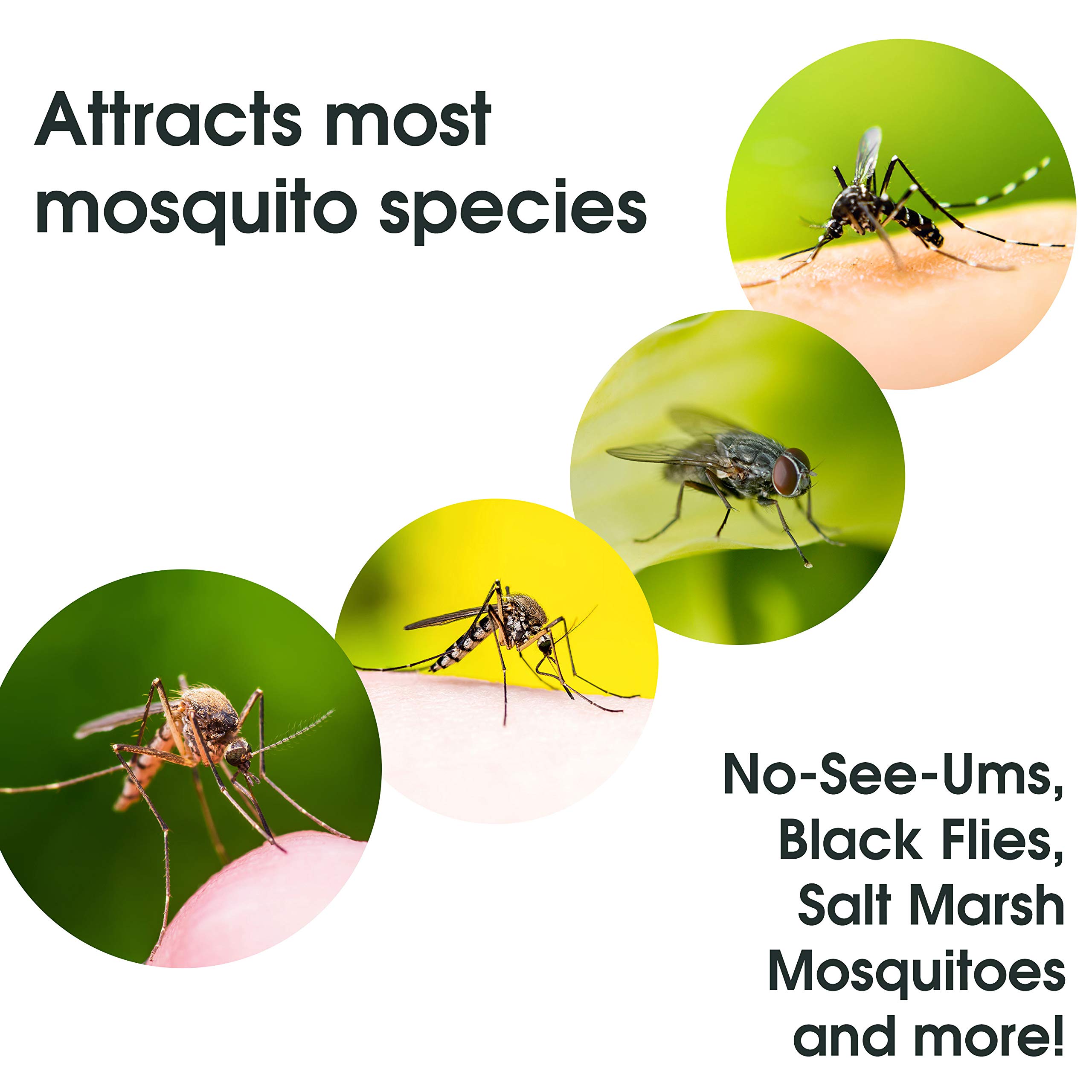 Mosquito Magnet Octenol Biting Insect Attractant Lures - 3 Pack for Effective Mosquito Trapping & Increased Catch Rates | Ideal for Backyards, Patios, and Outdoor Gatherings