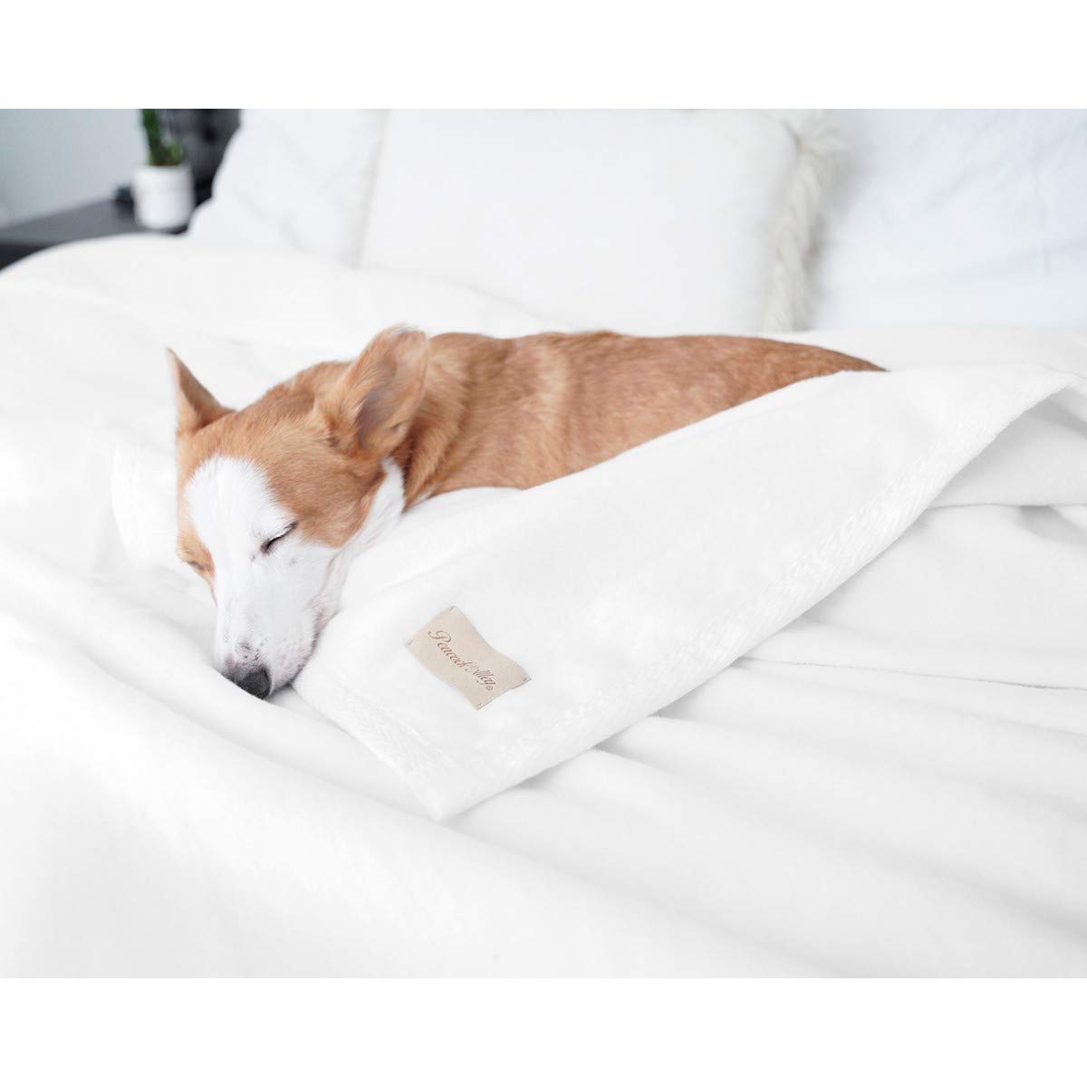 Peacock Alley All Seasons Luxury Cotton Blanket - 100% Long Staple Soft Breathable Blanket for Sofa, Bed & Crib - Crib Size White - Perfect for Nursery, Guest Room & Cozy Home Decor