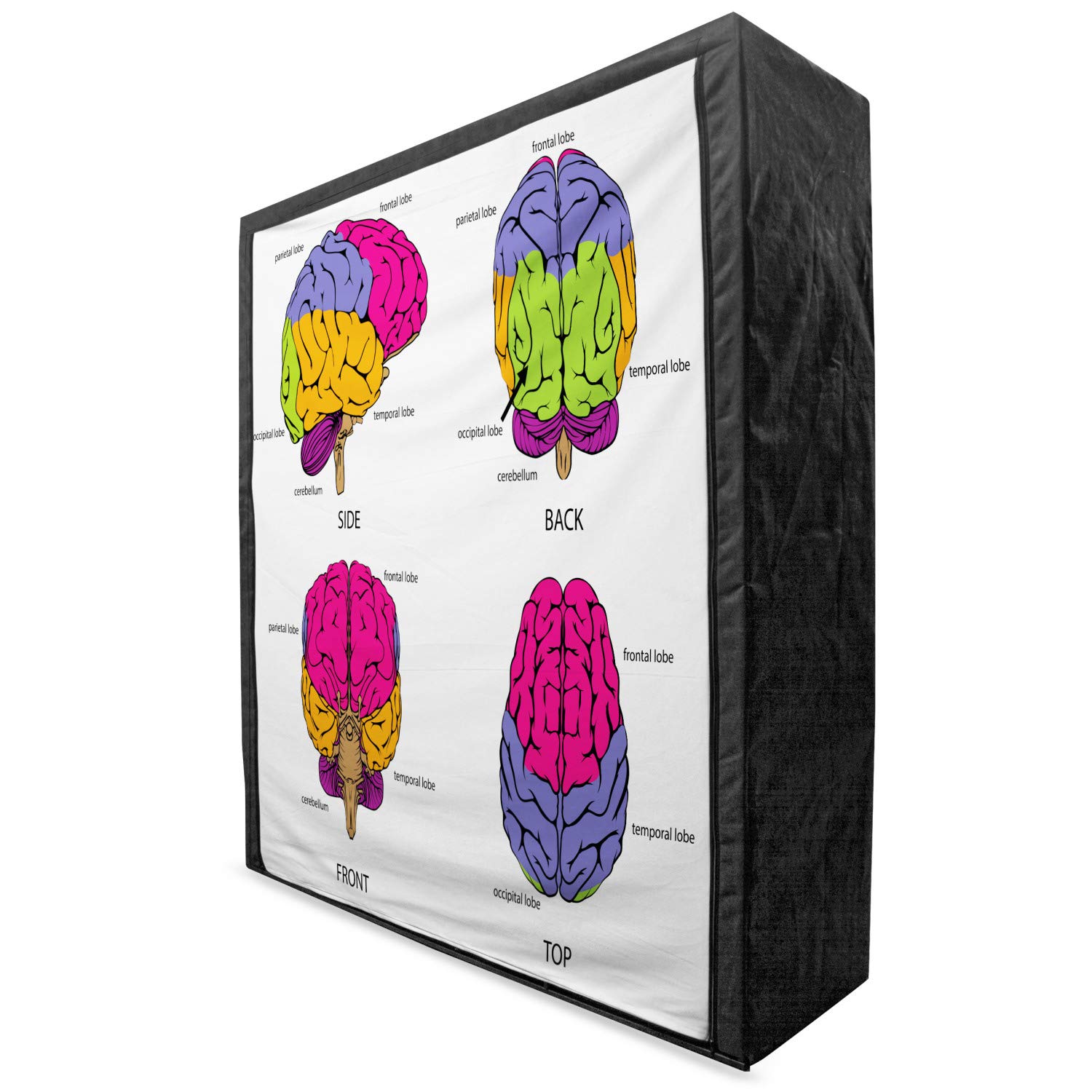 Ambesonne Science-Themed Portable Fabric Wardrobe - Colorful Human Brain Design with Sections & Explanatory Text, 59