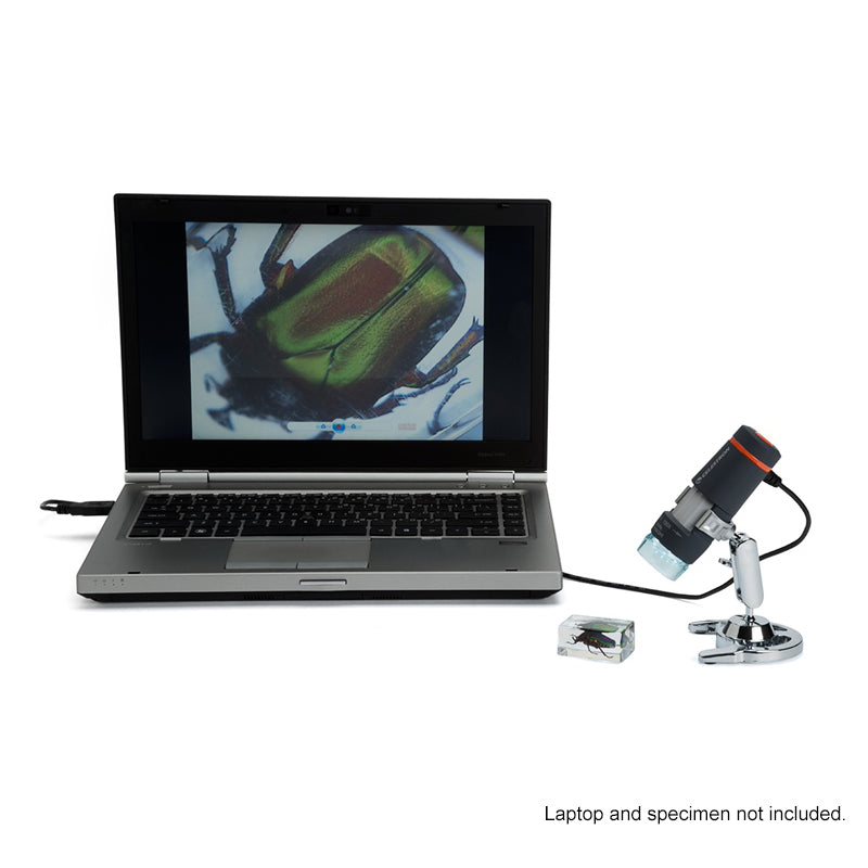 Celestron 44302 Deluxe Handheld Digital Microscope with 2MP Camera - Perfect for Coin Collecting, Jewelry Inspection & Science Education