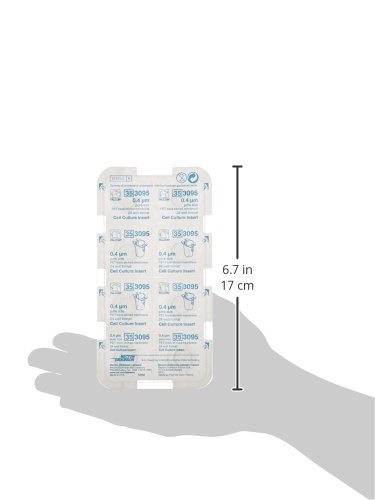 BD Falcon 353090 PET Cell Culture Insert, 0.4 Micron Pore, 1.5-2.5mL Volume - 48-Pack for 6-Well Plates | Ideal for Cell Migration, Co-Culture & Drug Permeability Studies
