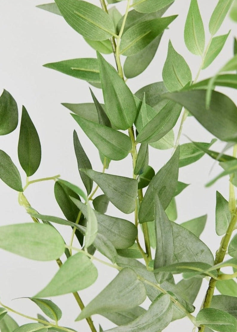 Artificial Italian Ruscus Spray - 46