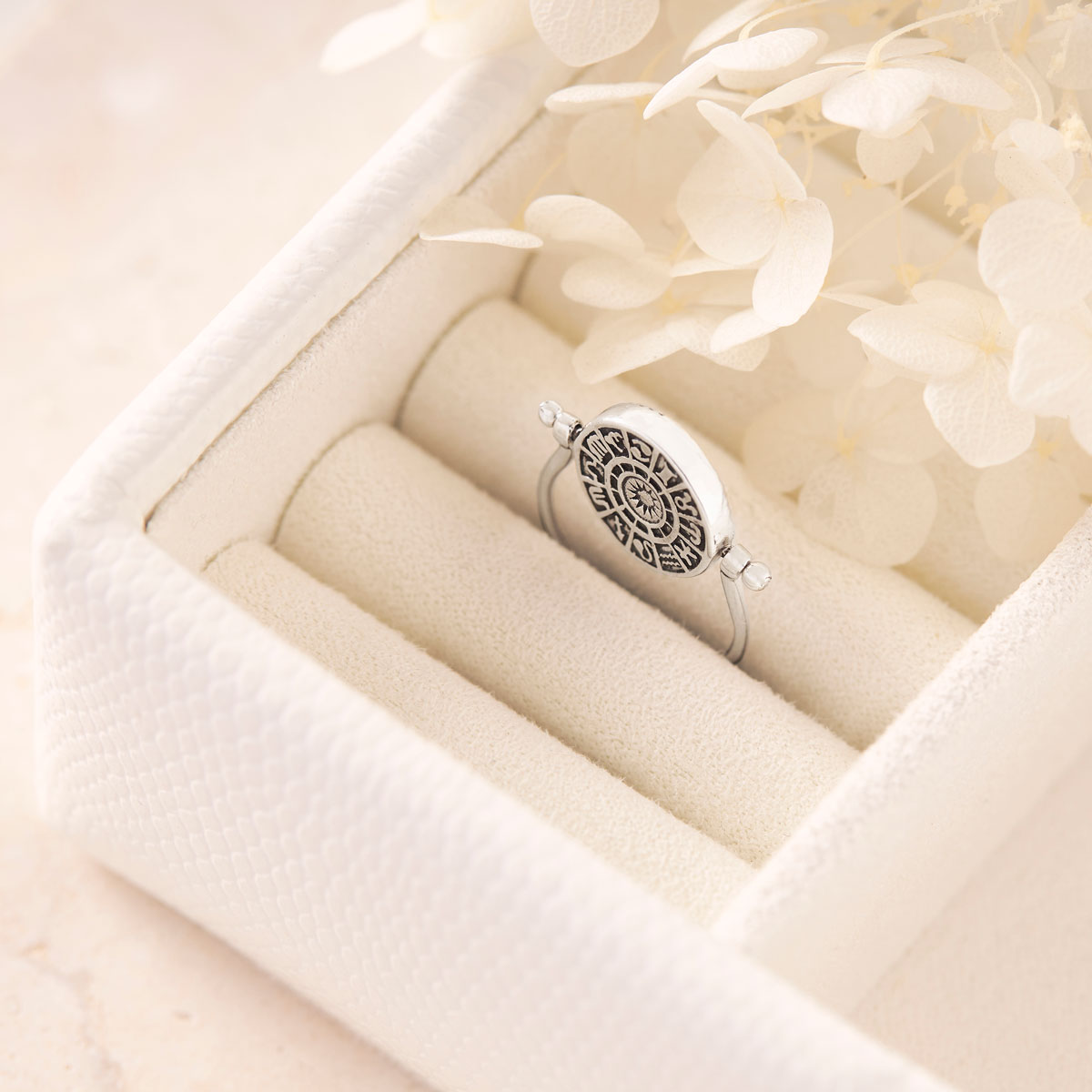 Hidden Zodiac Ring - Unique Astrology Jewelry for Women & Men - Perfect for Birthdays, Anniversaries & Spiritual Gifts