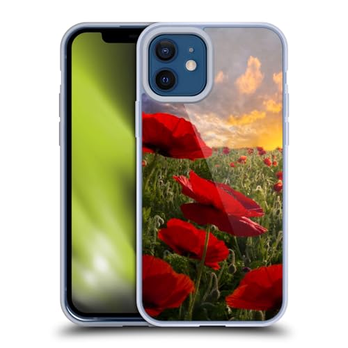 Red Flower Field