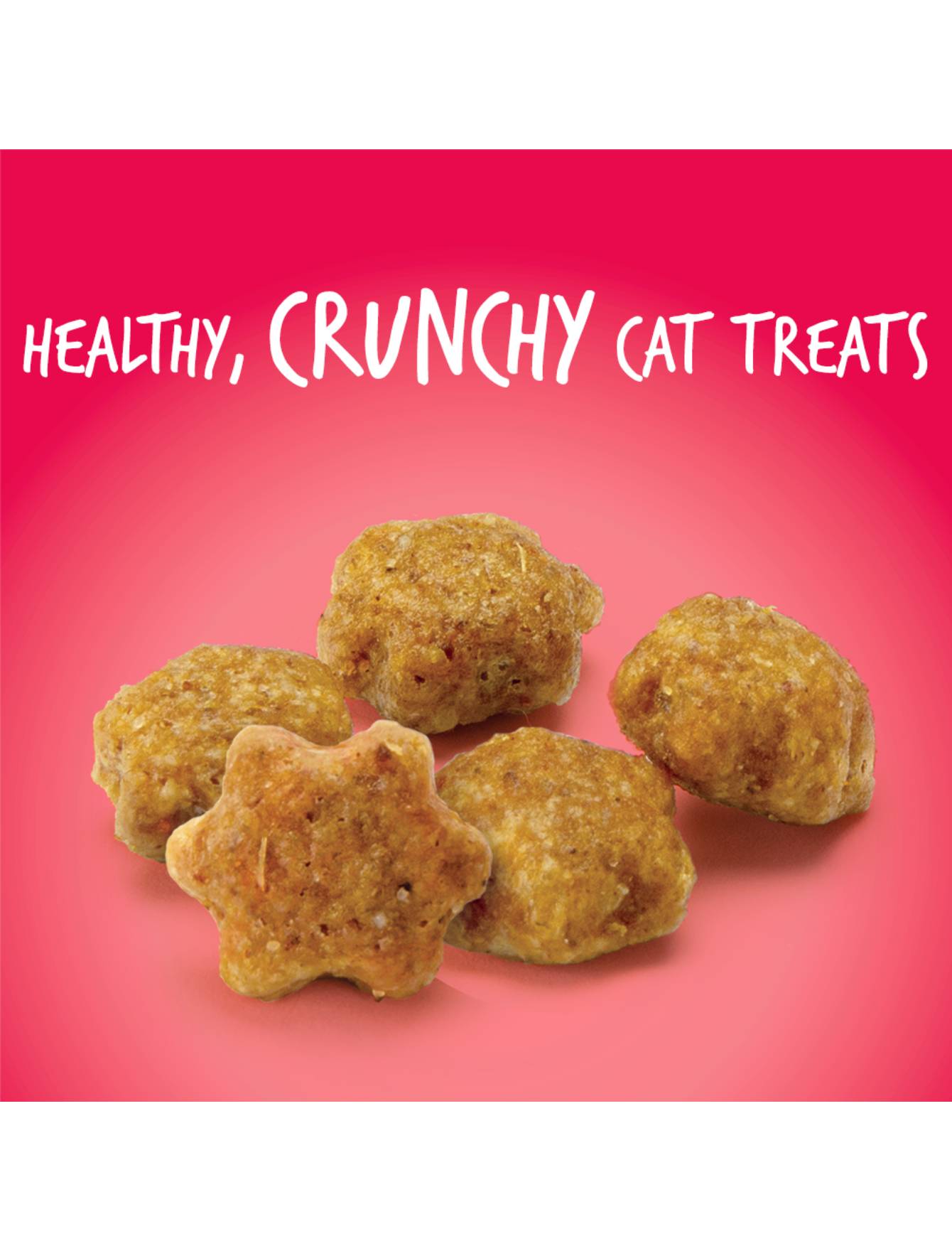 Fruitables Crunchy Salmon with Cranberry Cat Treats 2.5oz - Healthy Natural Cat Snacks for Indoor & Outdoor Cats - Perfect for Training, Rewards, and Bonding Time