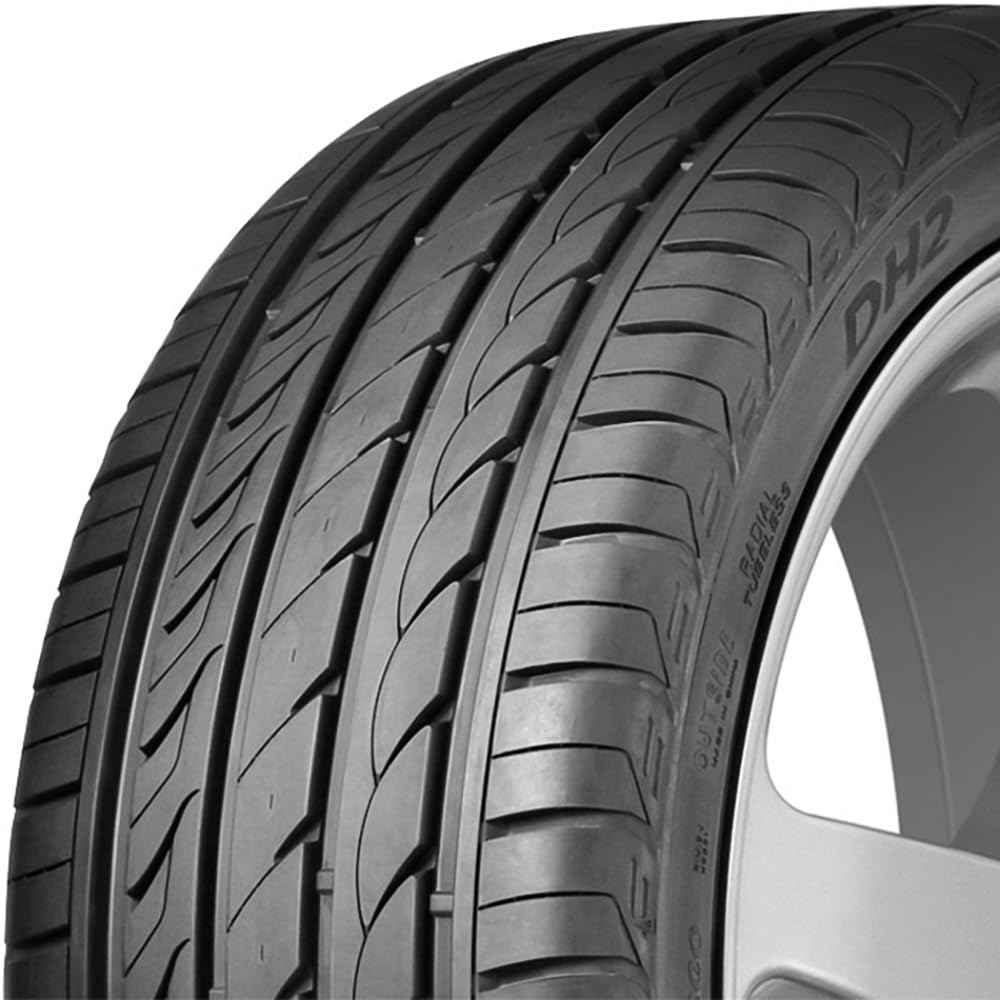 Delinte DH2 Touring Radial Tire - 225/65R16 100H All-Season High Performance Car Tires for Smooth Ride & Long Mileage | Perfect for SUVs, Sedans, and Highway Driving