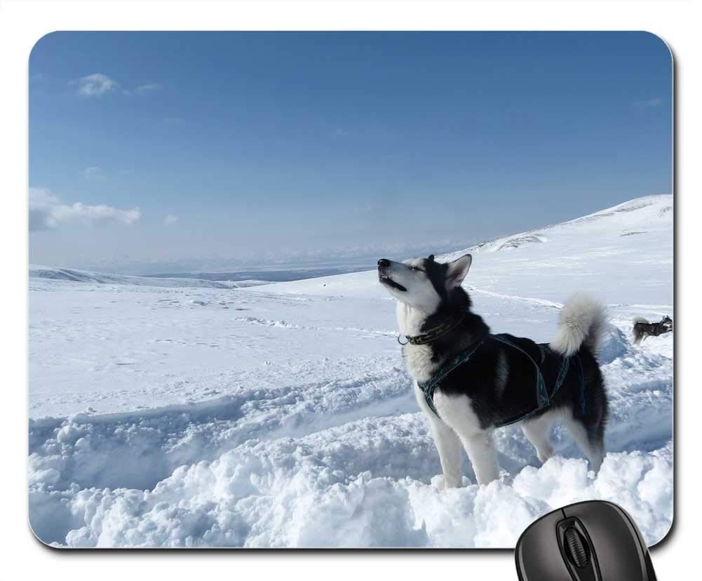 Premium Gaming Mouse Pad with Non-Slip Base - Large Extended Mouse Mat Featuring Cute Dog & Spring Landscape Design - Perfect for PC Gaming, Office Work & Pet Lovers