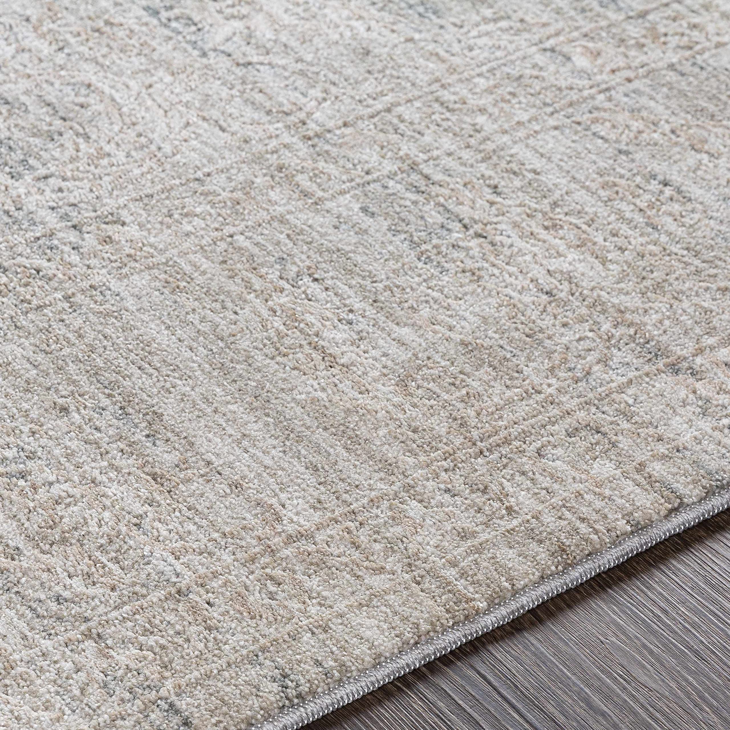 Hauteloom Monto Traditional Gray Beige Area Rug 9' x 12'2