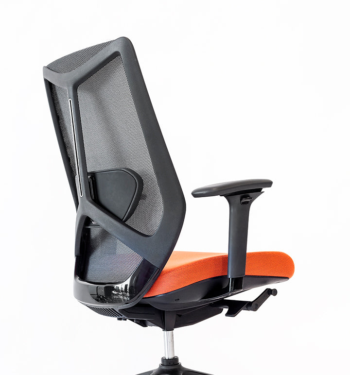 Friant Ignite Mesh Task Chair FD00253 - Ergonomic Office Chair with Adjustable Height & Lumbar Support for Home & Office Workspaces