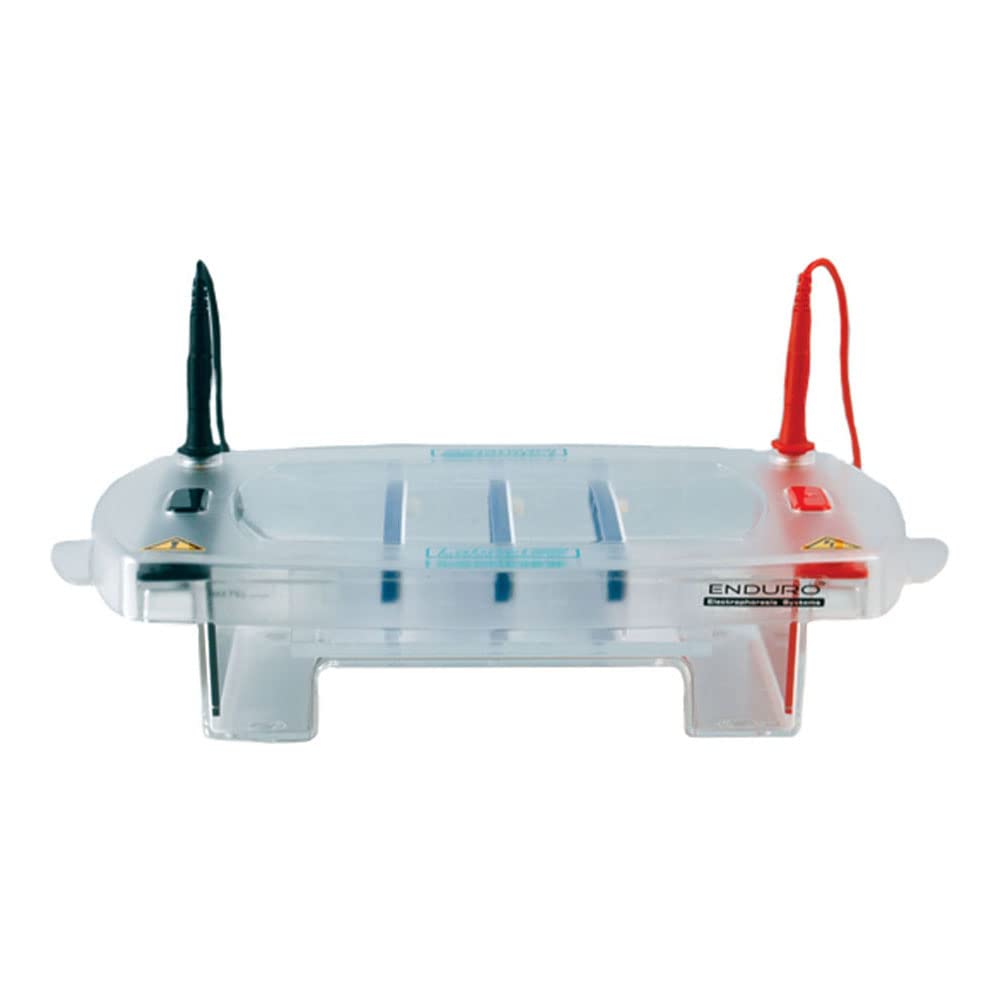 Labnet Enduro Gel Tray E1015-10-GT - 15 cm x 10 cm Gel Electrophoresis System for DNA/RNA Analysis - Perfect for Molecular Biology Labs & Research Experiments