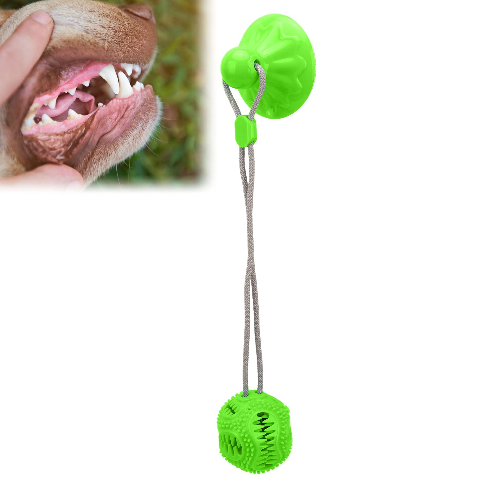 Durable Dog Rope Chew Toy with Squeaker & Bell - Interactive Molar Rope Ball for Small & Medium Dogs - Indoor/Outdoor Puppy Teething Toy for Aggressive Chewers (Green)