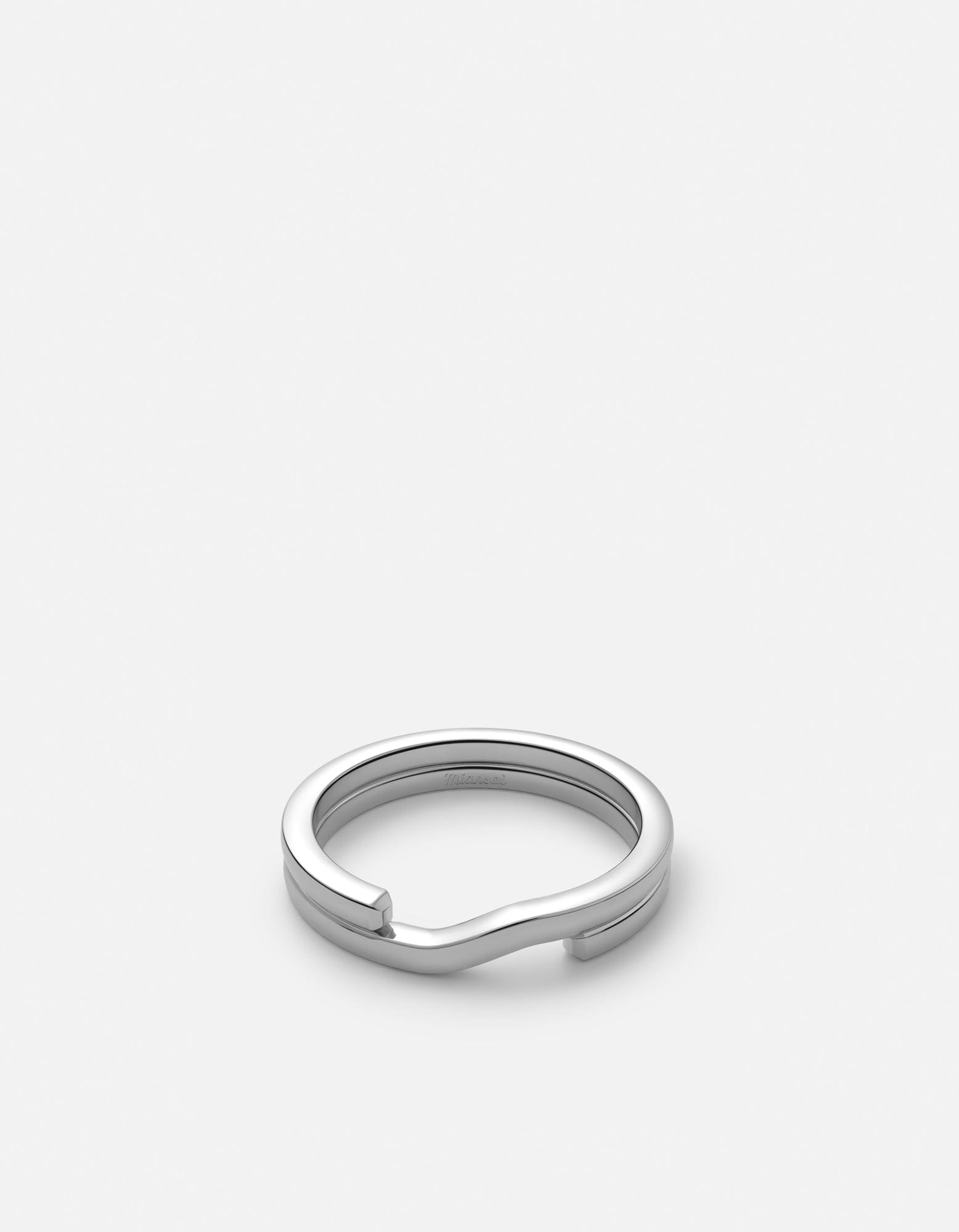 Polished Silver
