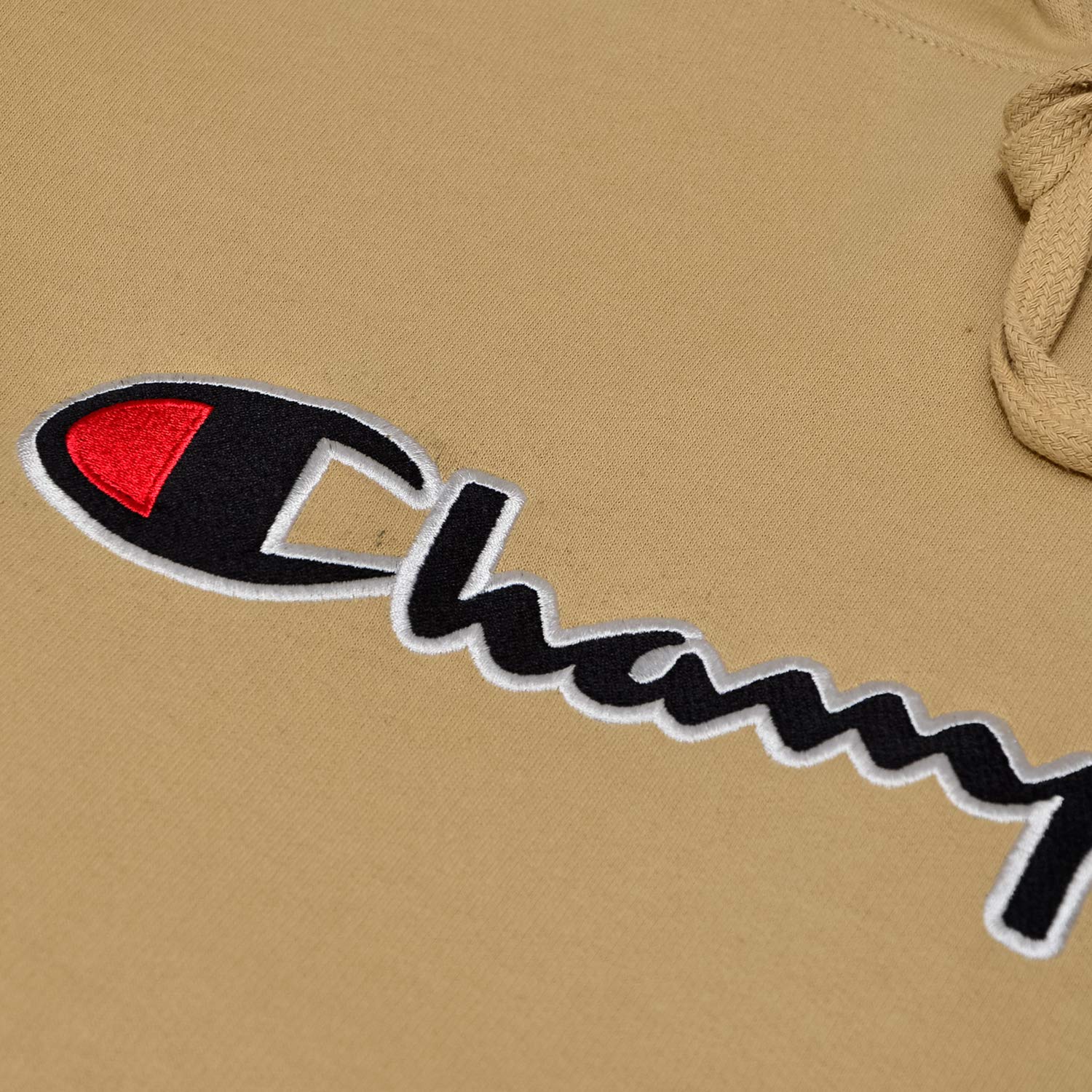 Champion Men's Big & Tall Fleece Hoodie - Embroidered Pullover Sweatshirt for Casual Wear, Gym & Outdoor Activities